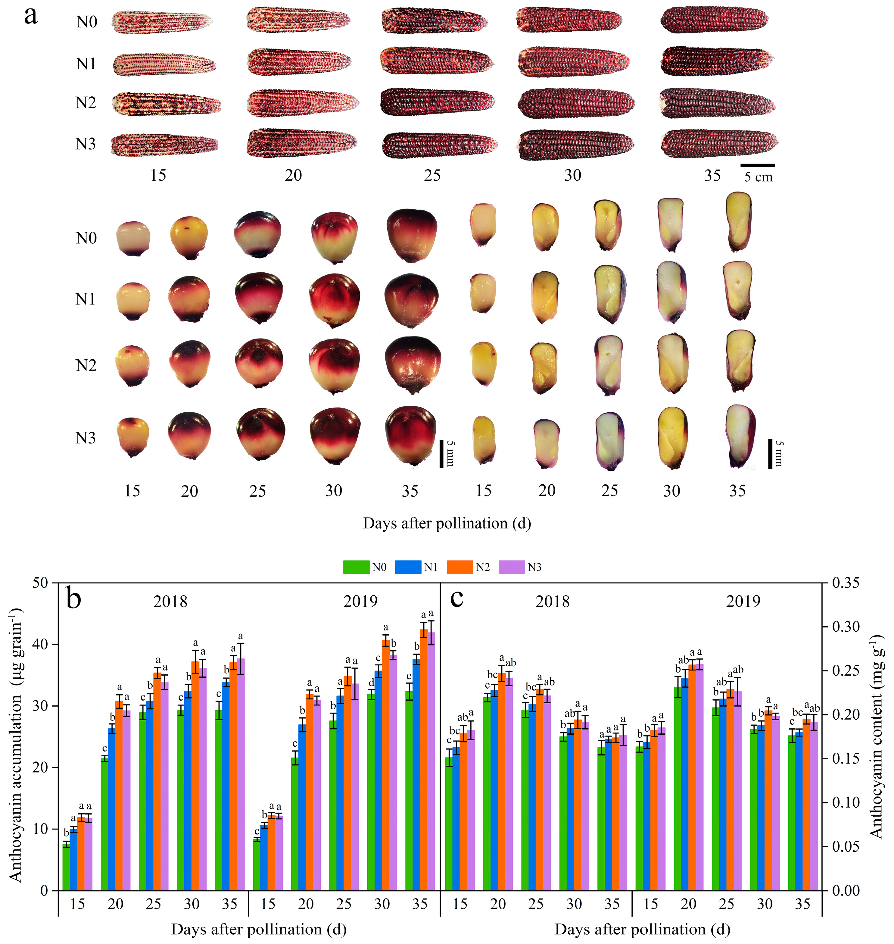 Plants 13 02882 g001