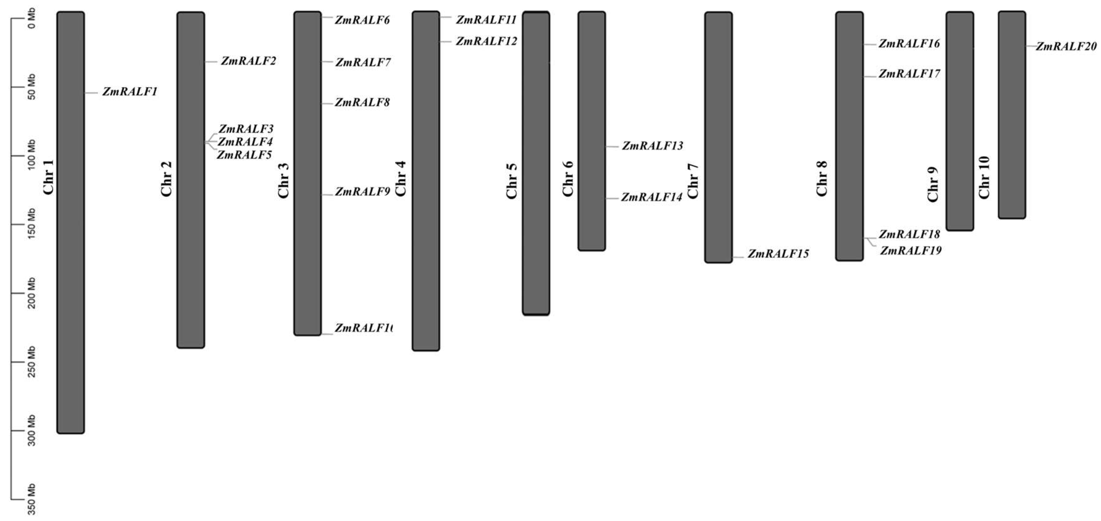 Plants 13 02883 g001