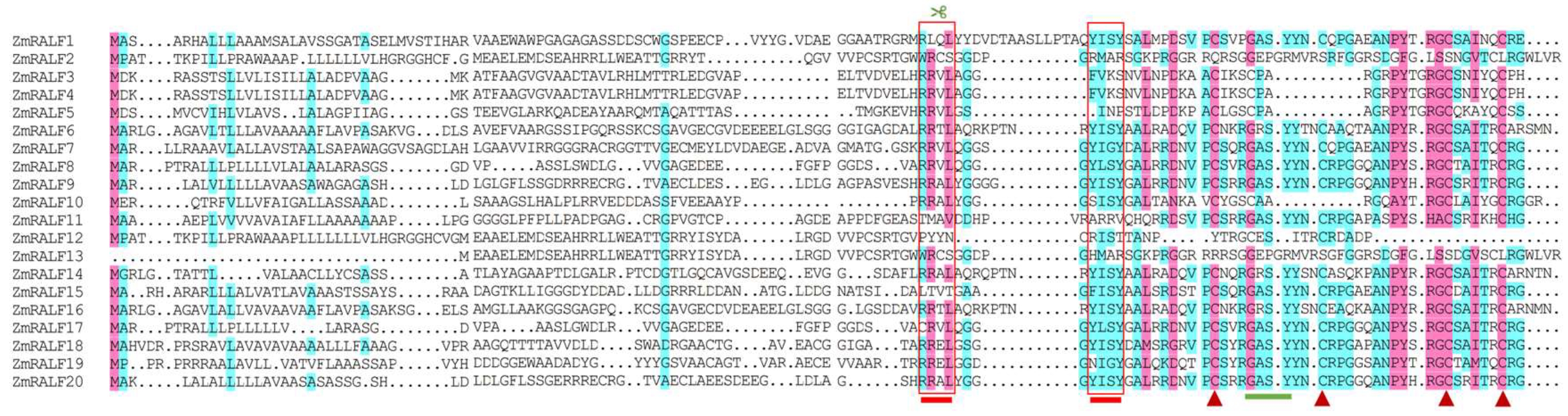 Plants 13 02883 g002