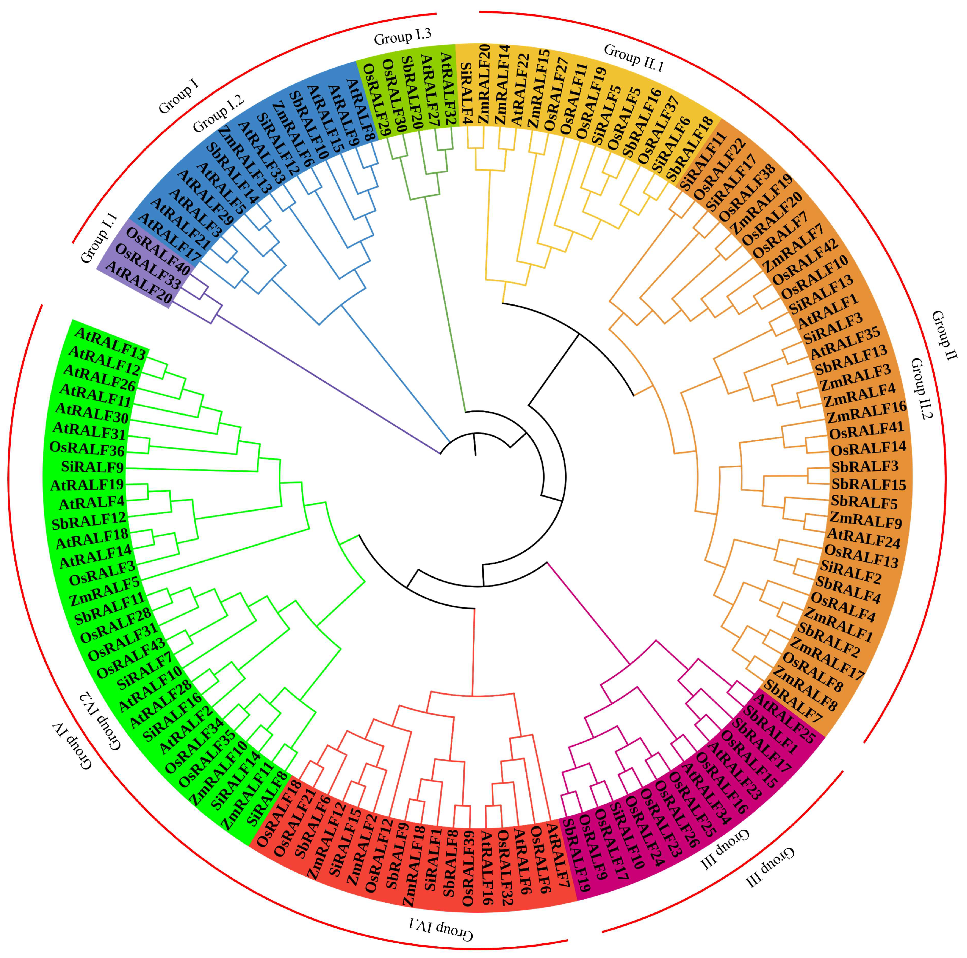 Plants 13 02883 g003