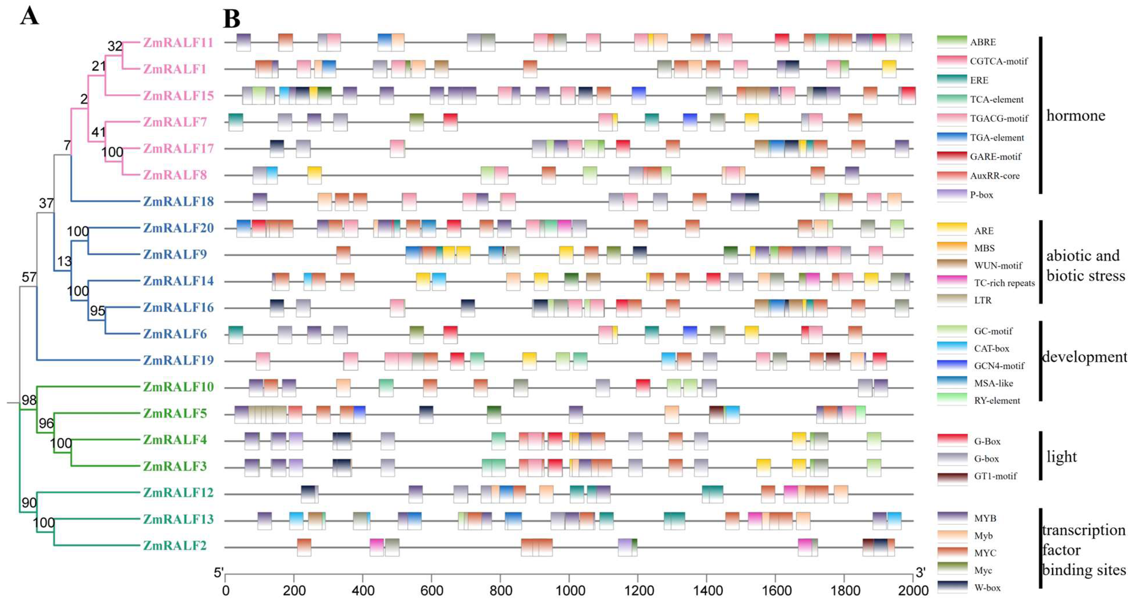 Plants 13 02883 g007