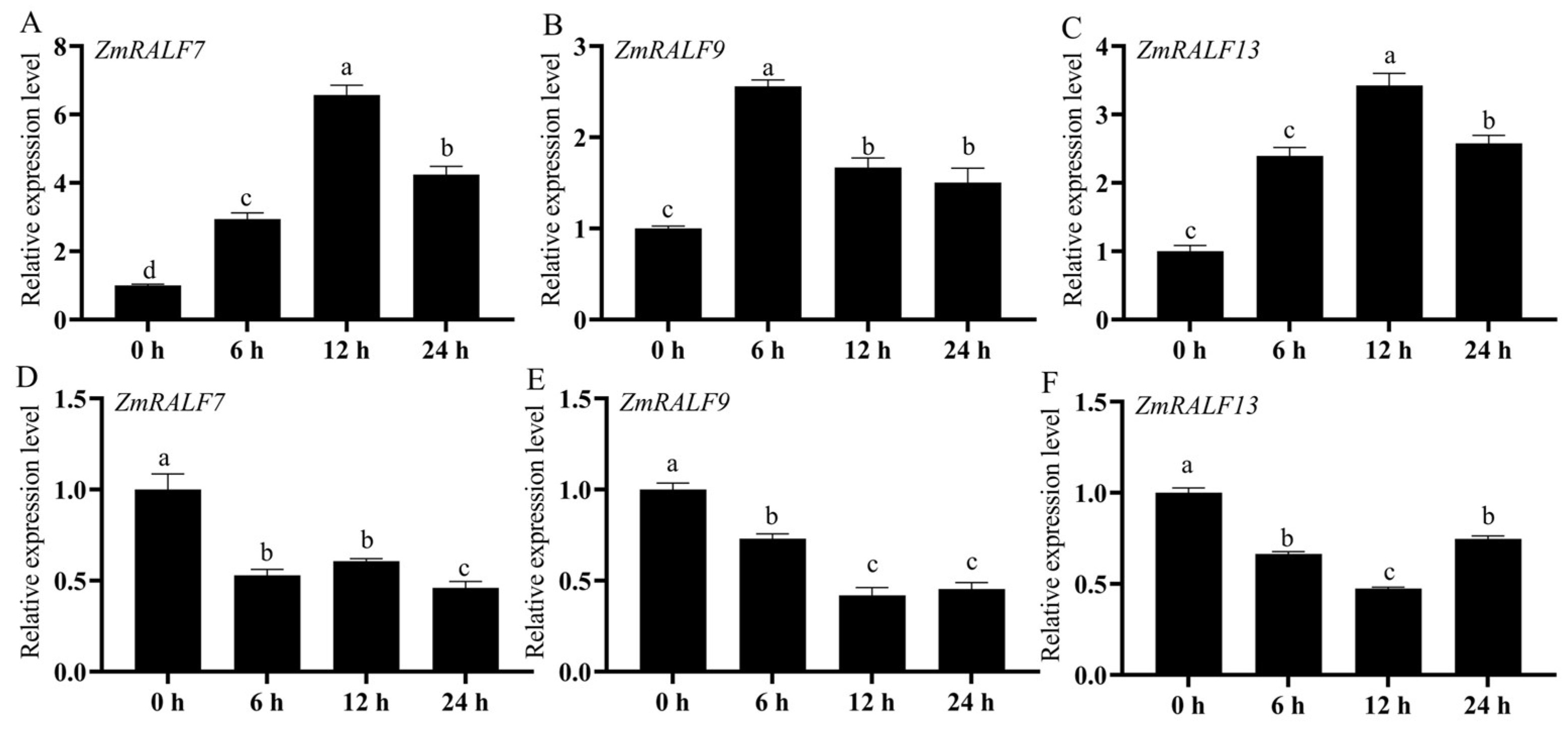 Plants 13 02883 g010