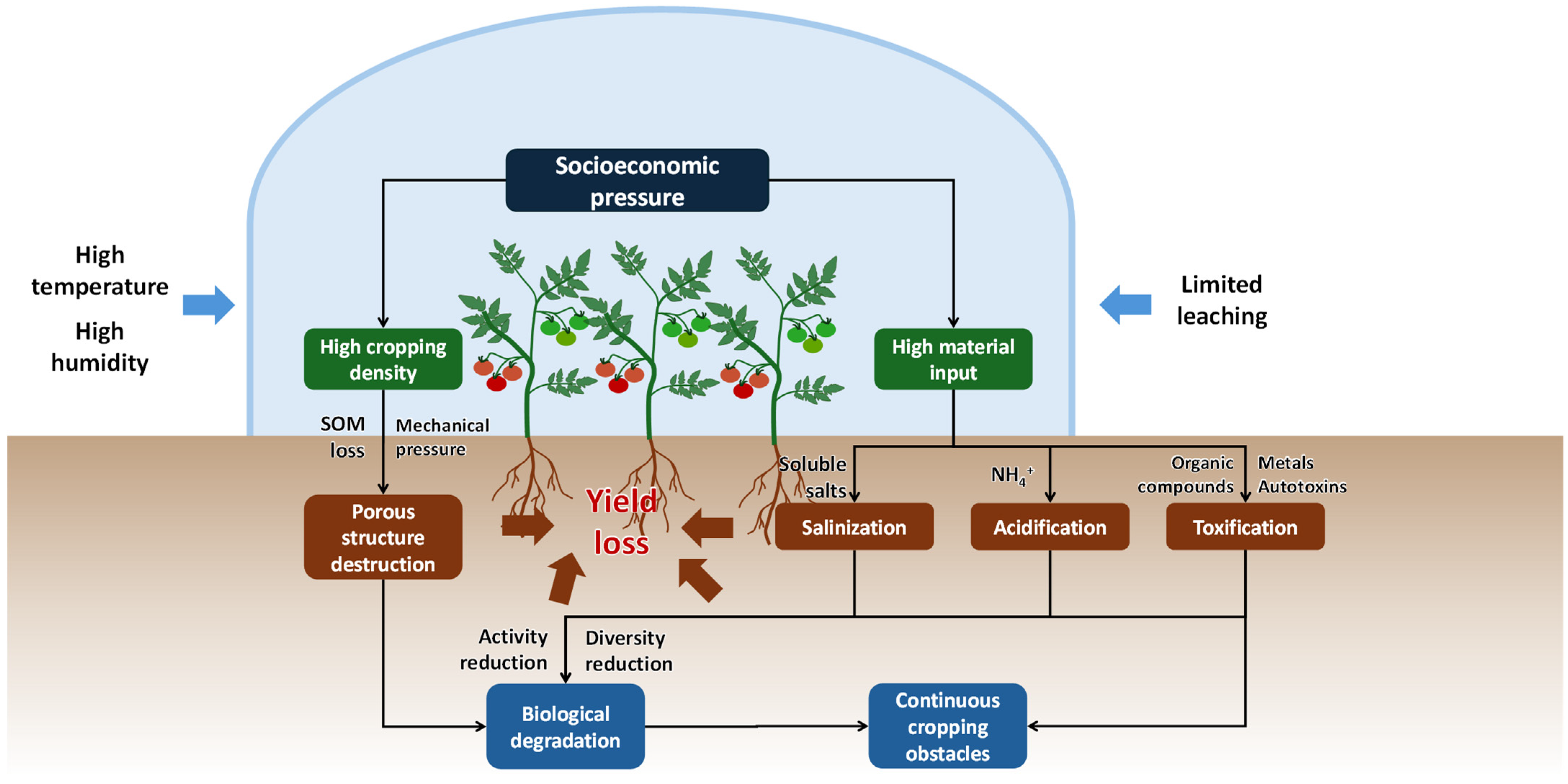 Plants 13 02885 g001