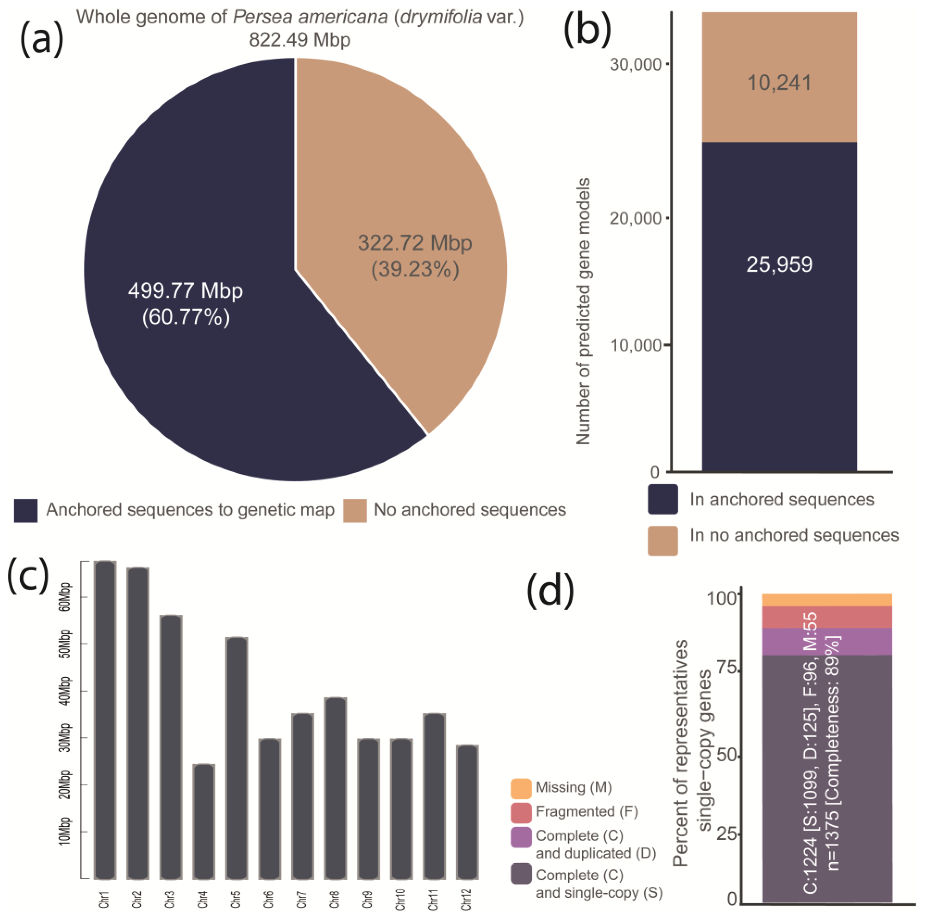 Plants 13 02886 g002