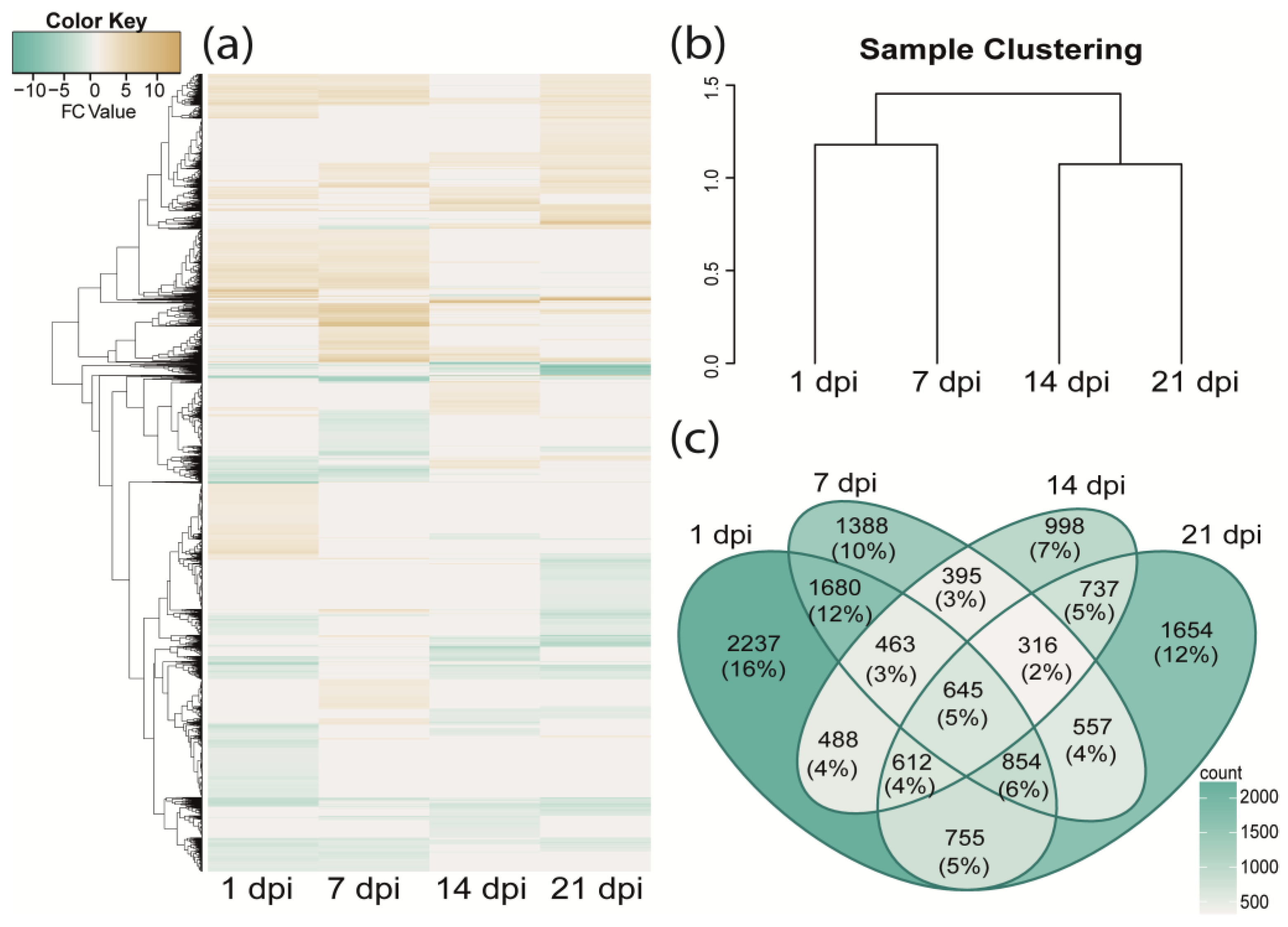 Plants 13 02886 g003