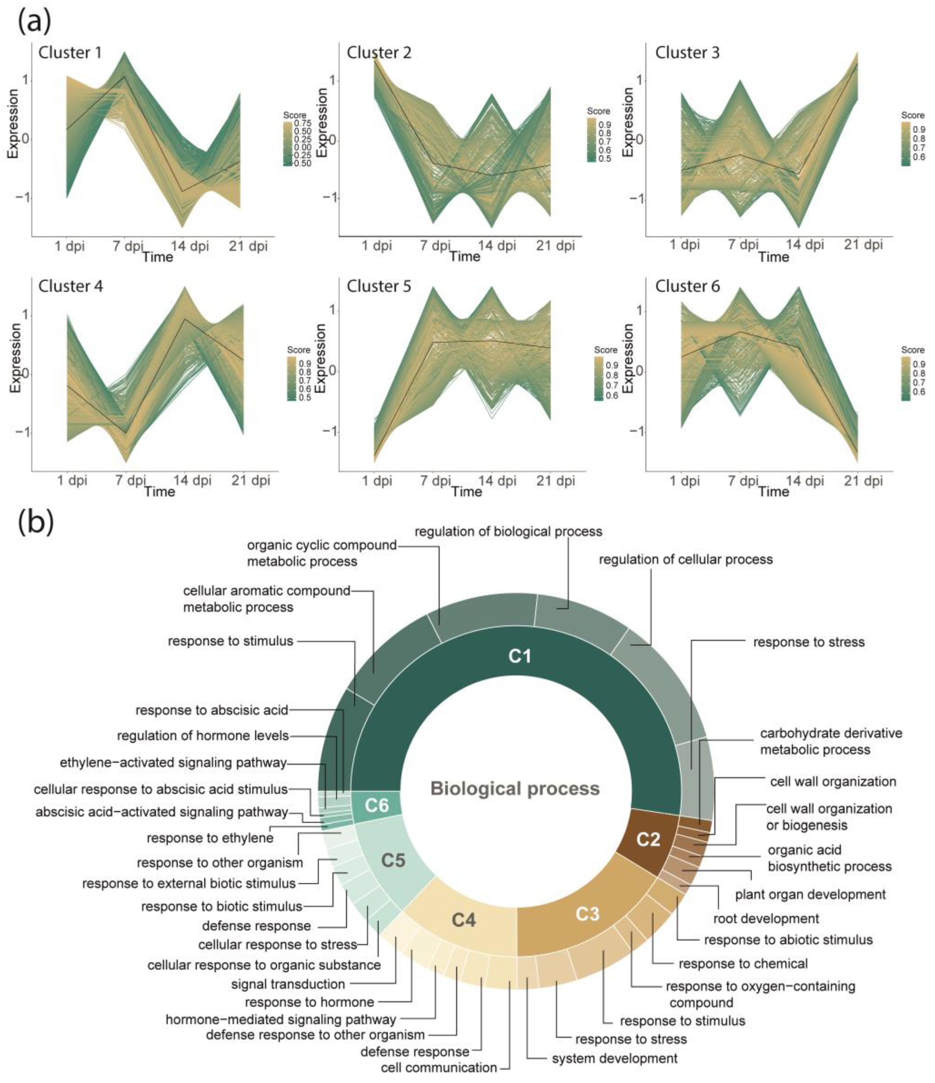 Plants 13 02886 g004