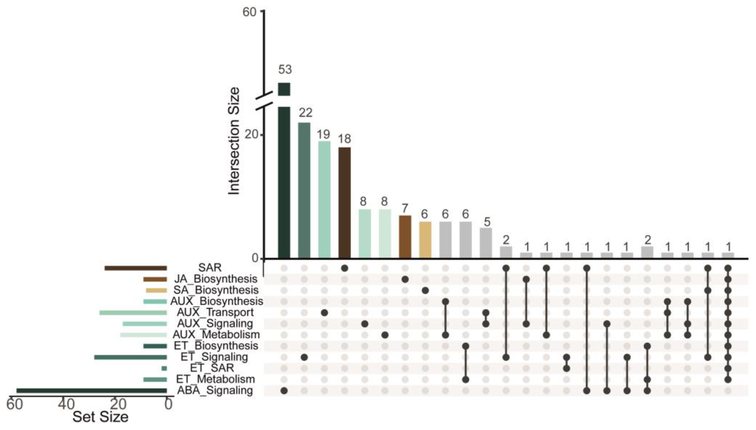 Plants 13 02886 g005