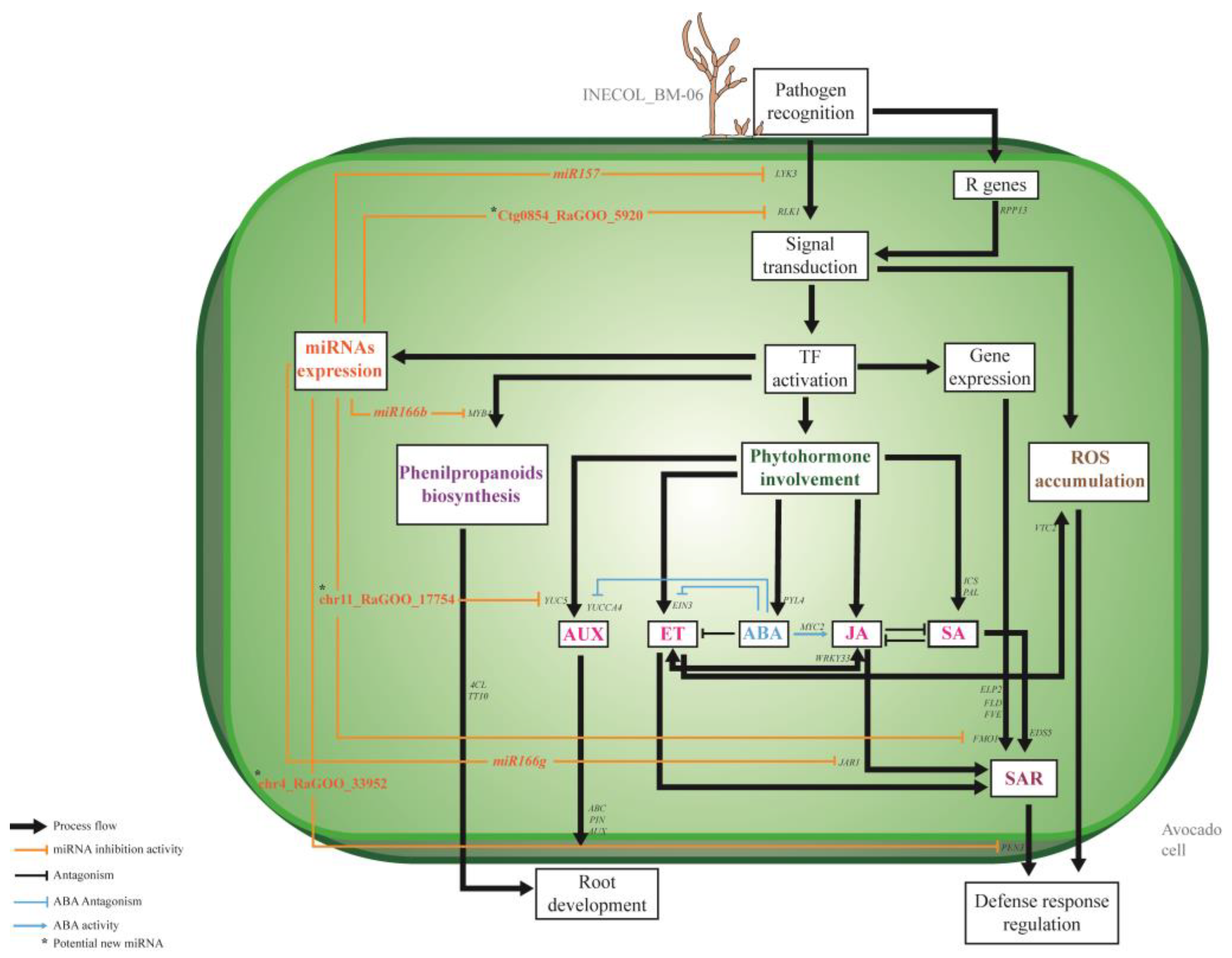 Plants 13 02886 g008
