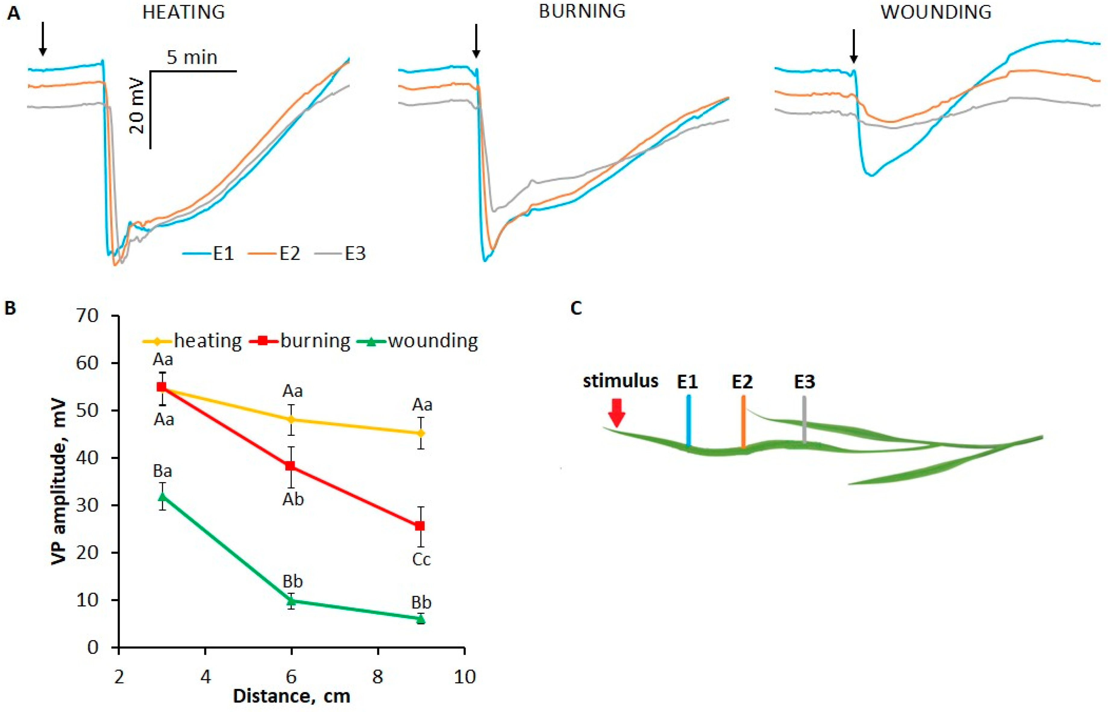 Plants 13 02896 g001