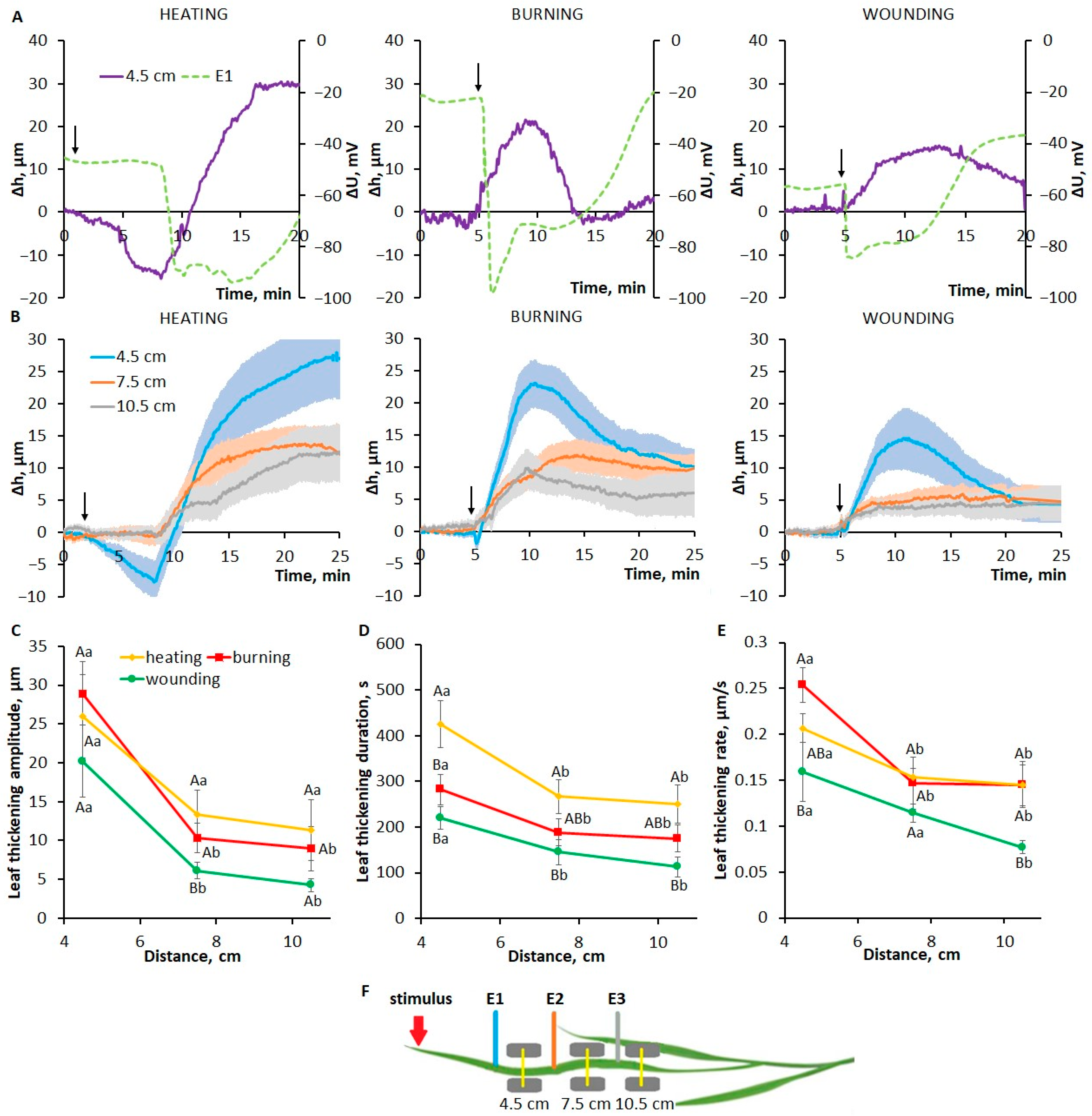 Plants 13 02896 g002