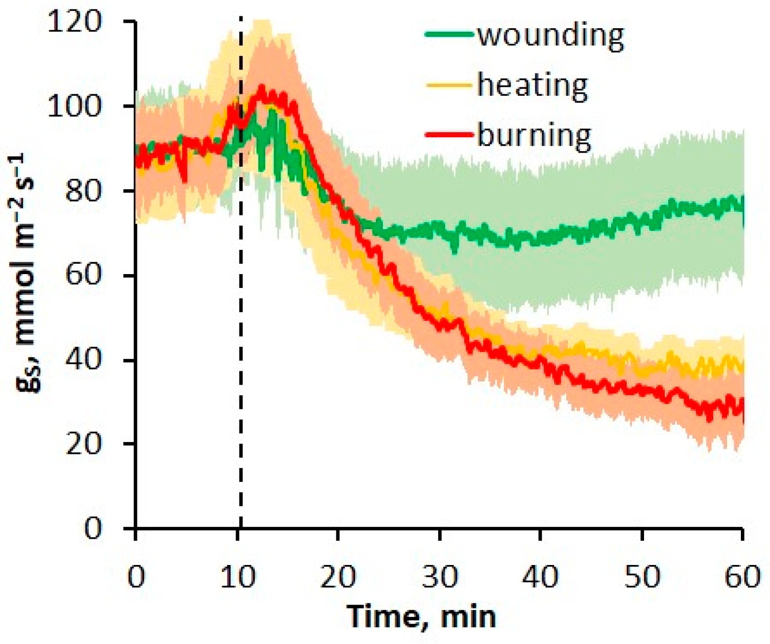 Plants 13 02896 g003