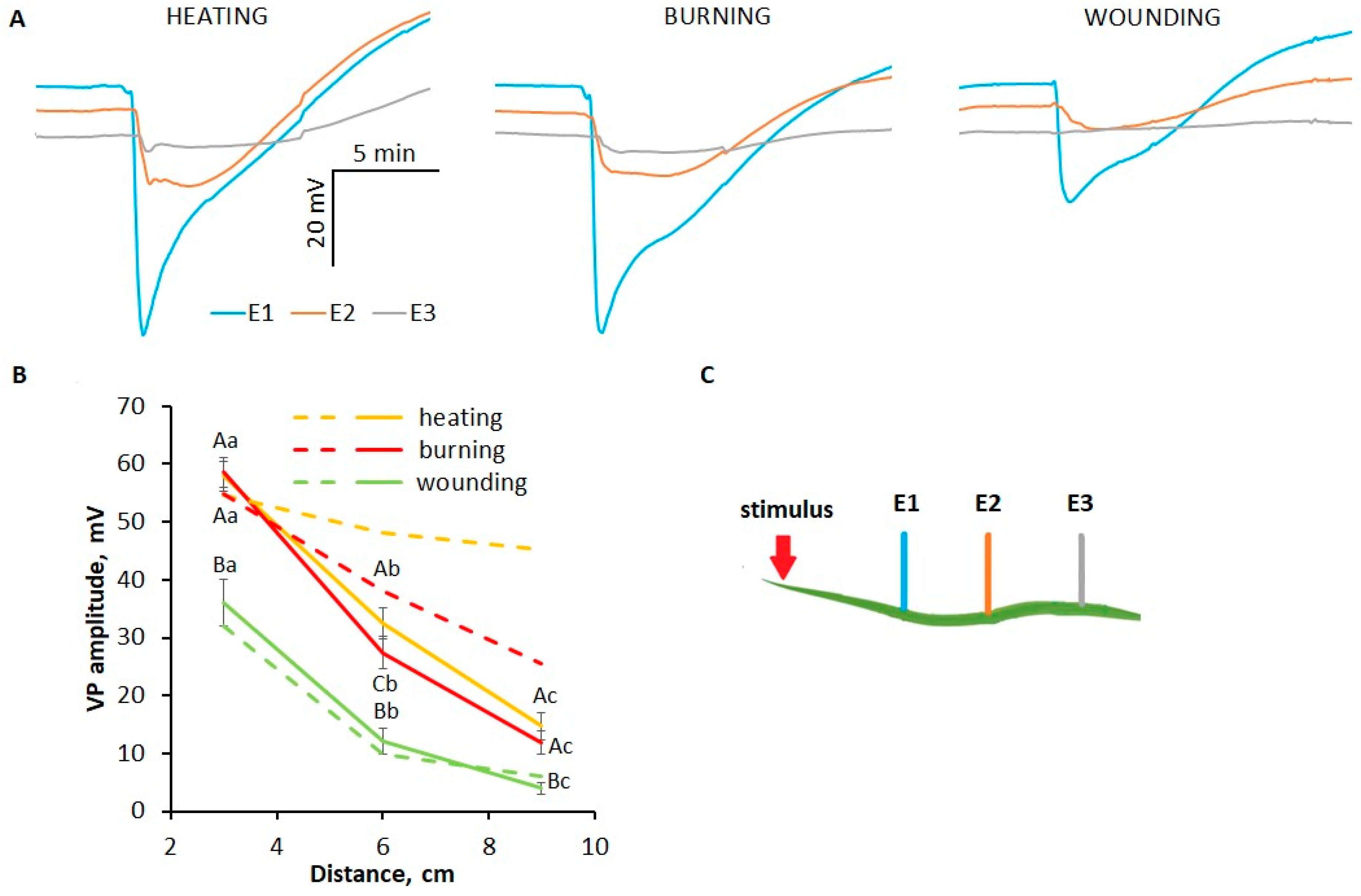 Plants 13 02896 g004