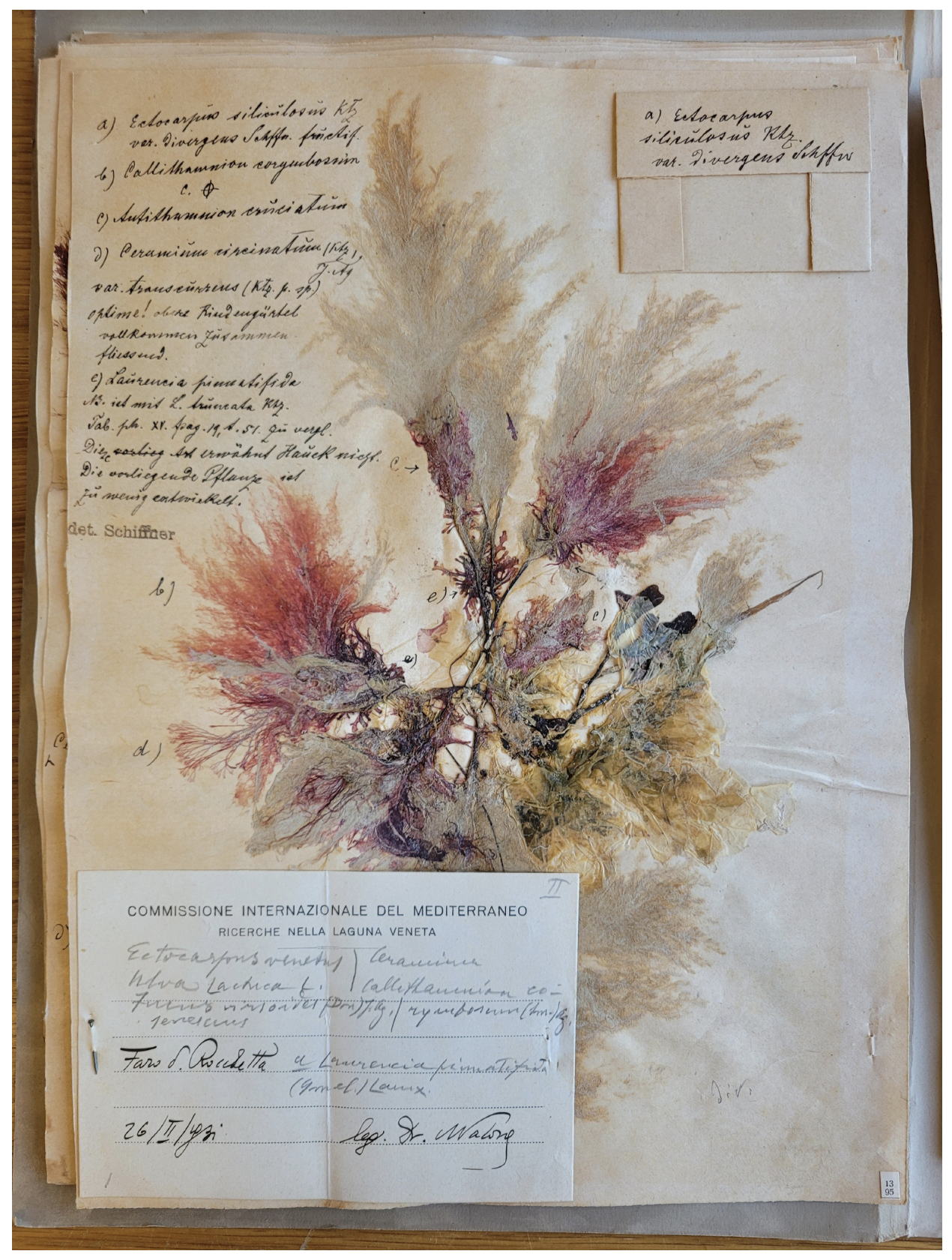 Plants 13 02901 g001 Plants 13 02901 g001