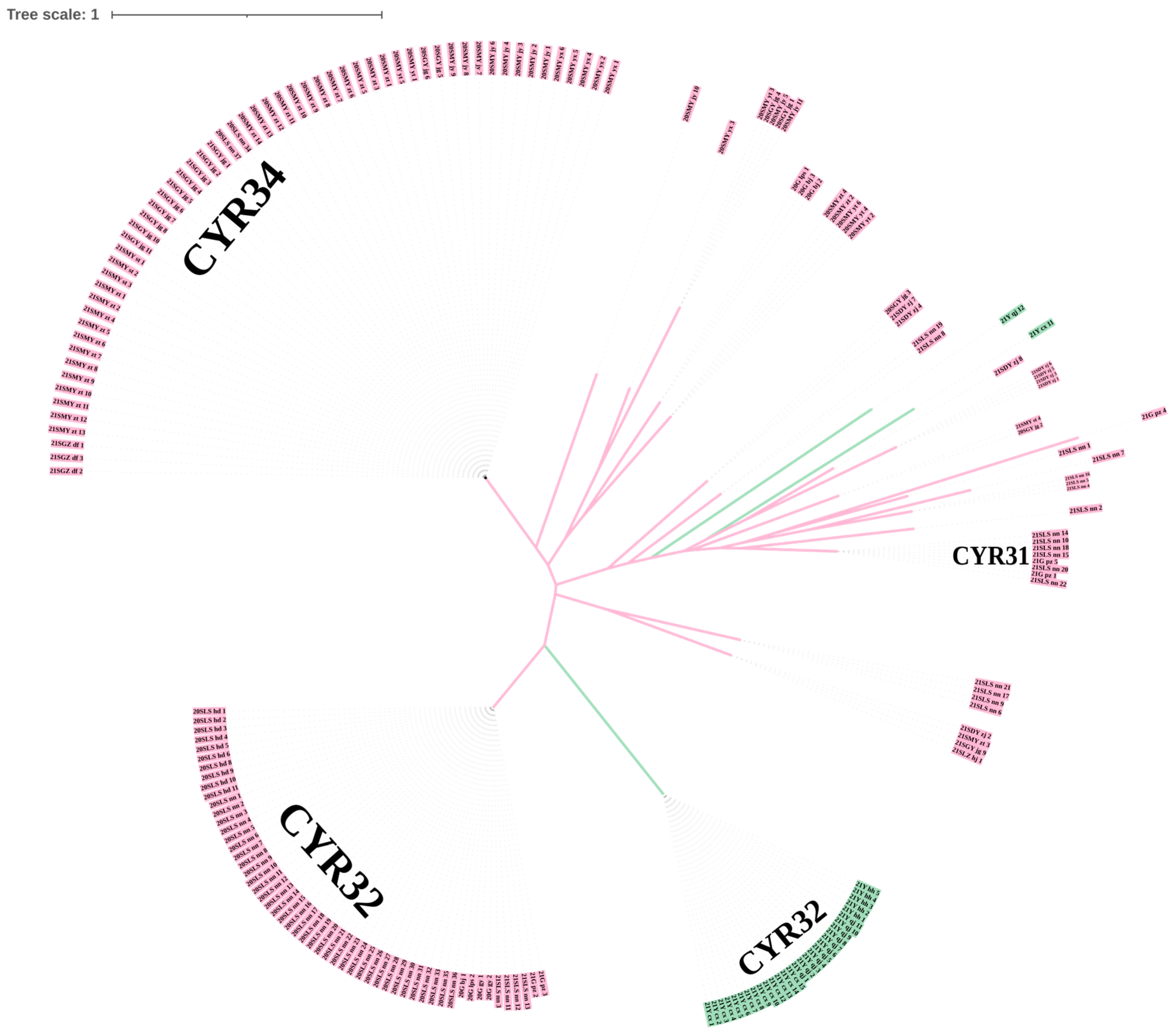 Plants 13 02902 g002