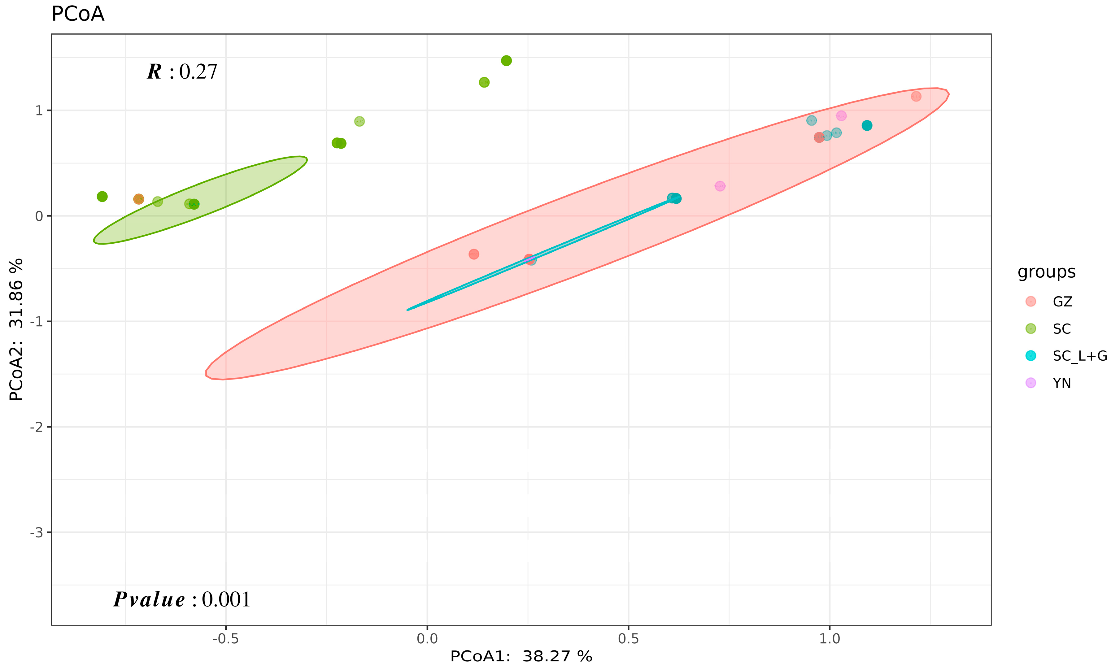 Plants 13 02902 g004