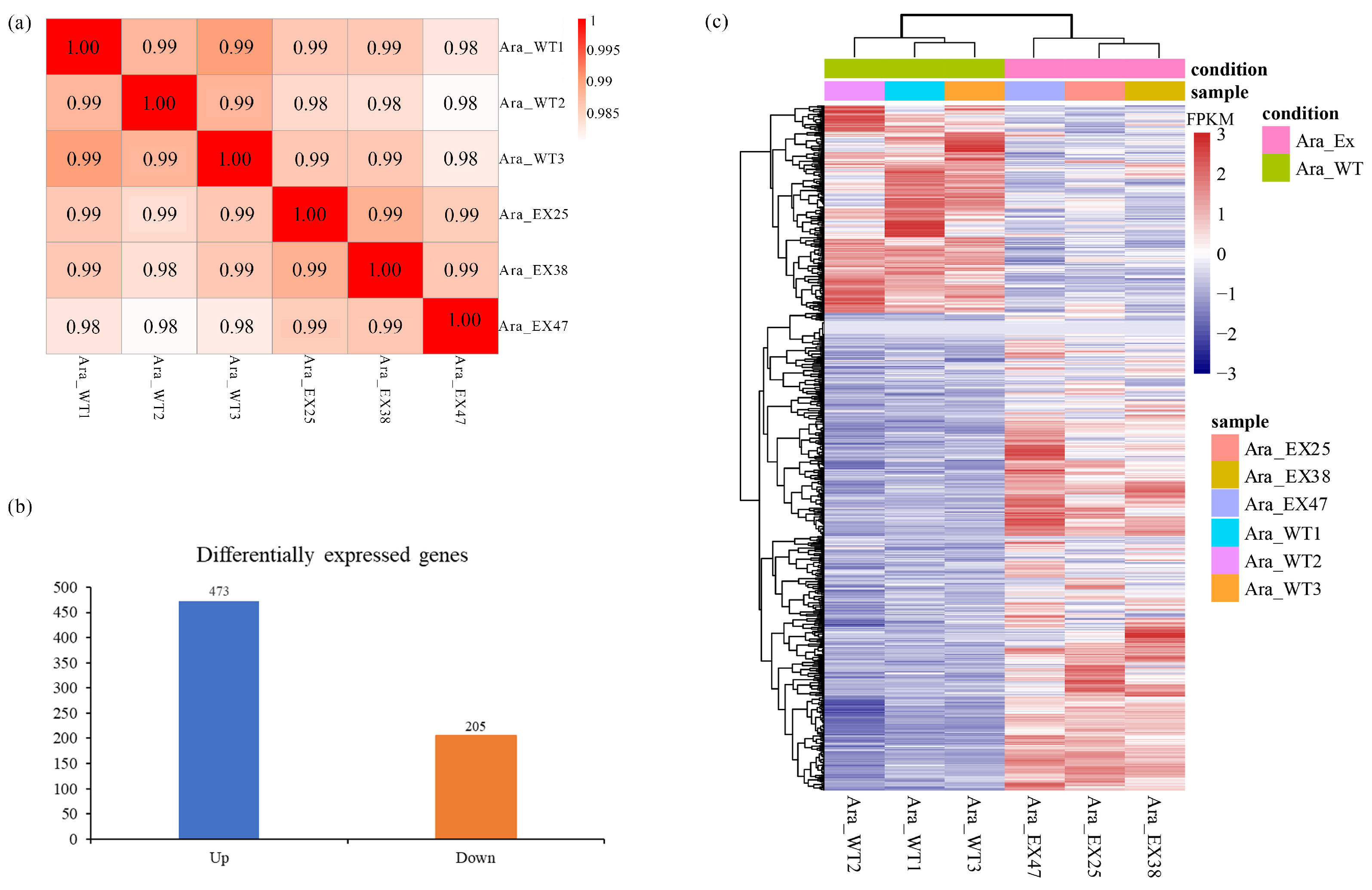 Plants 13 02906 g001