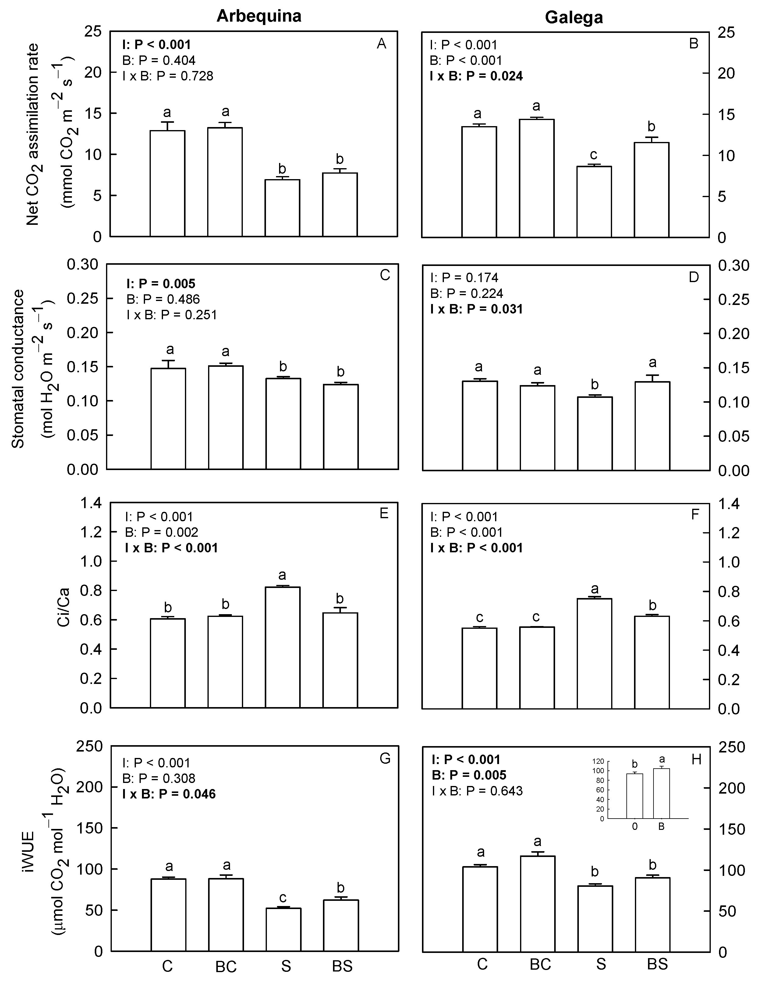 Plants 13 02908 g002