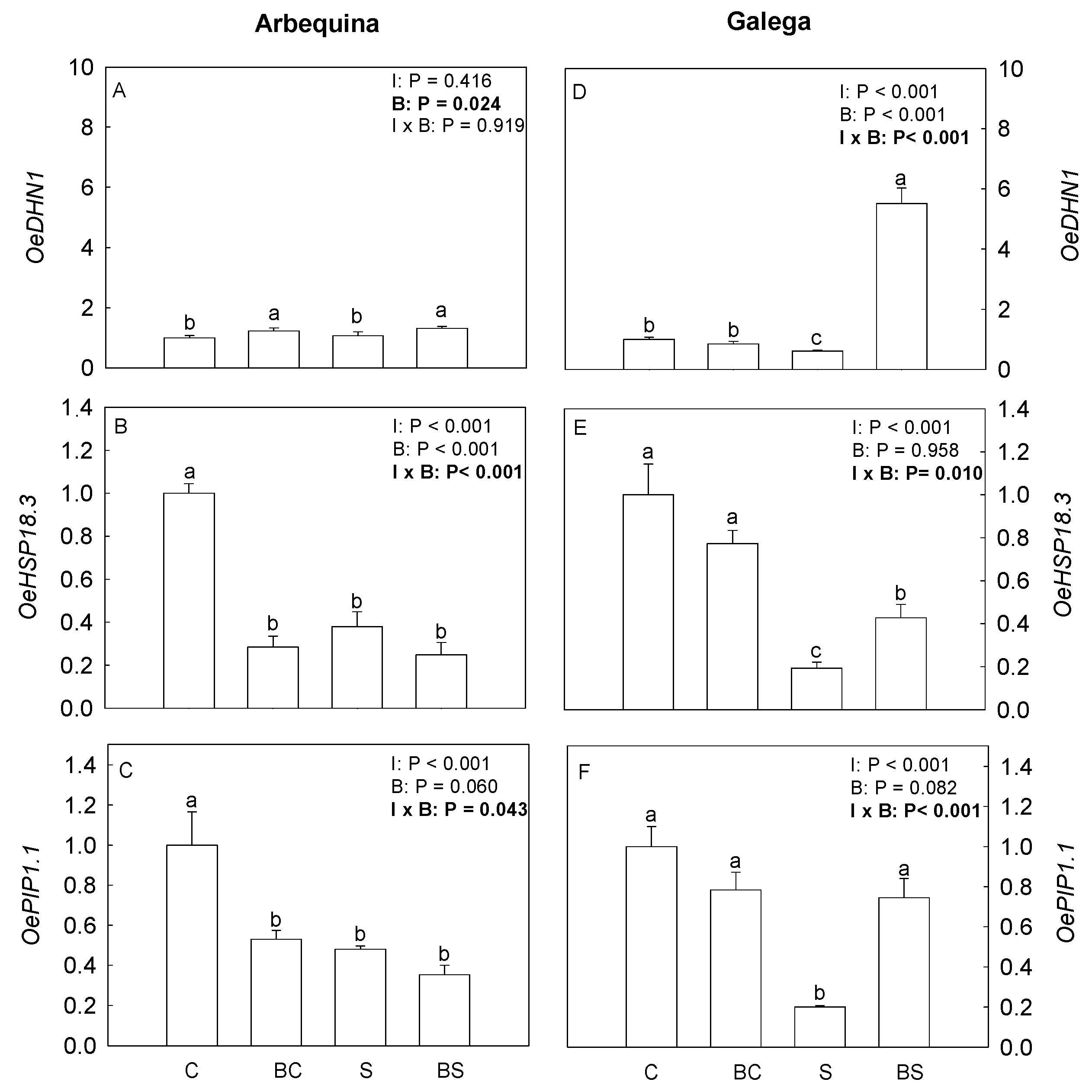 Plants 13 02908 g006