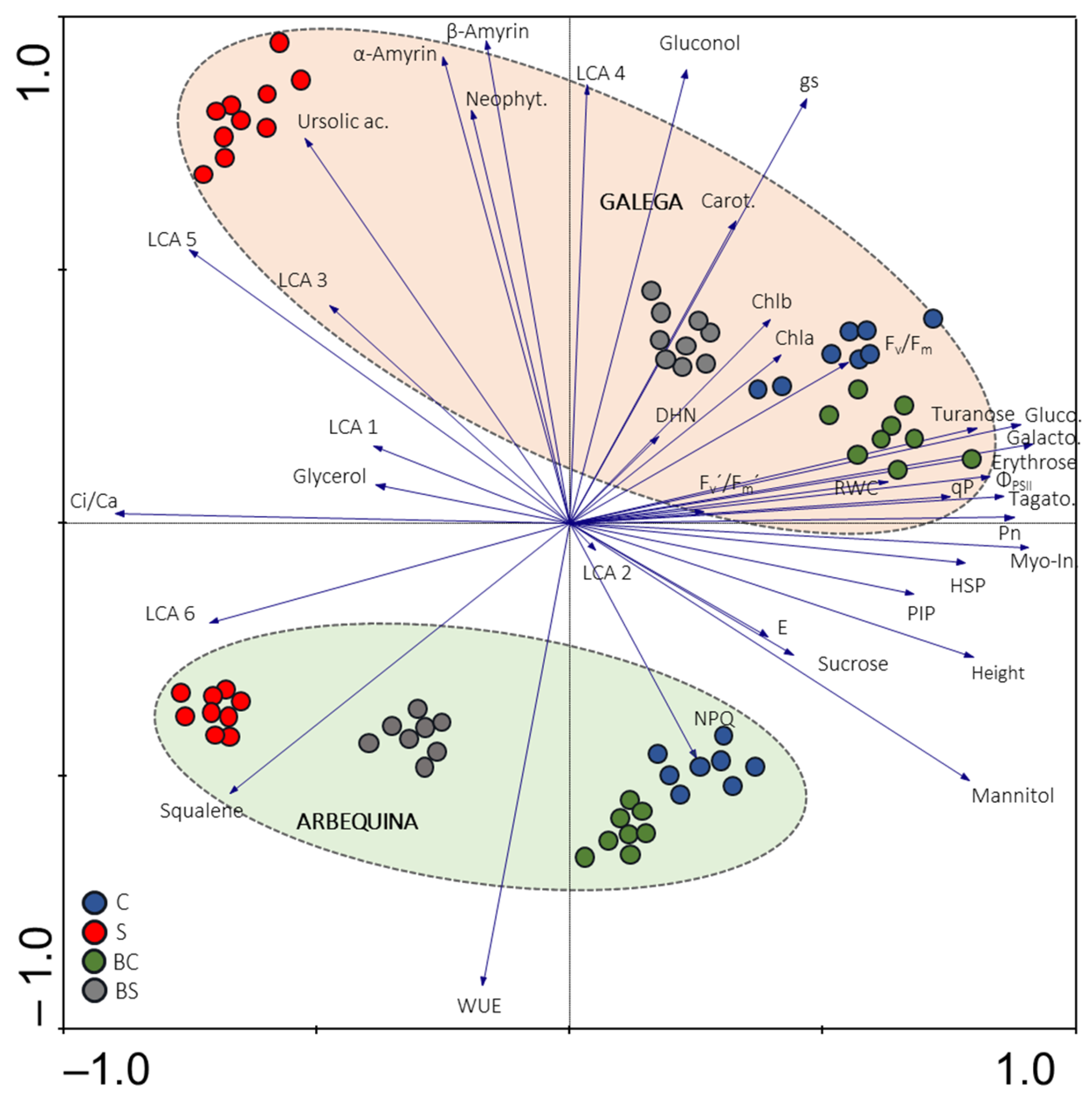 Plants 13 02908 g007