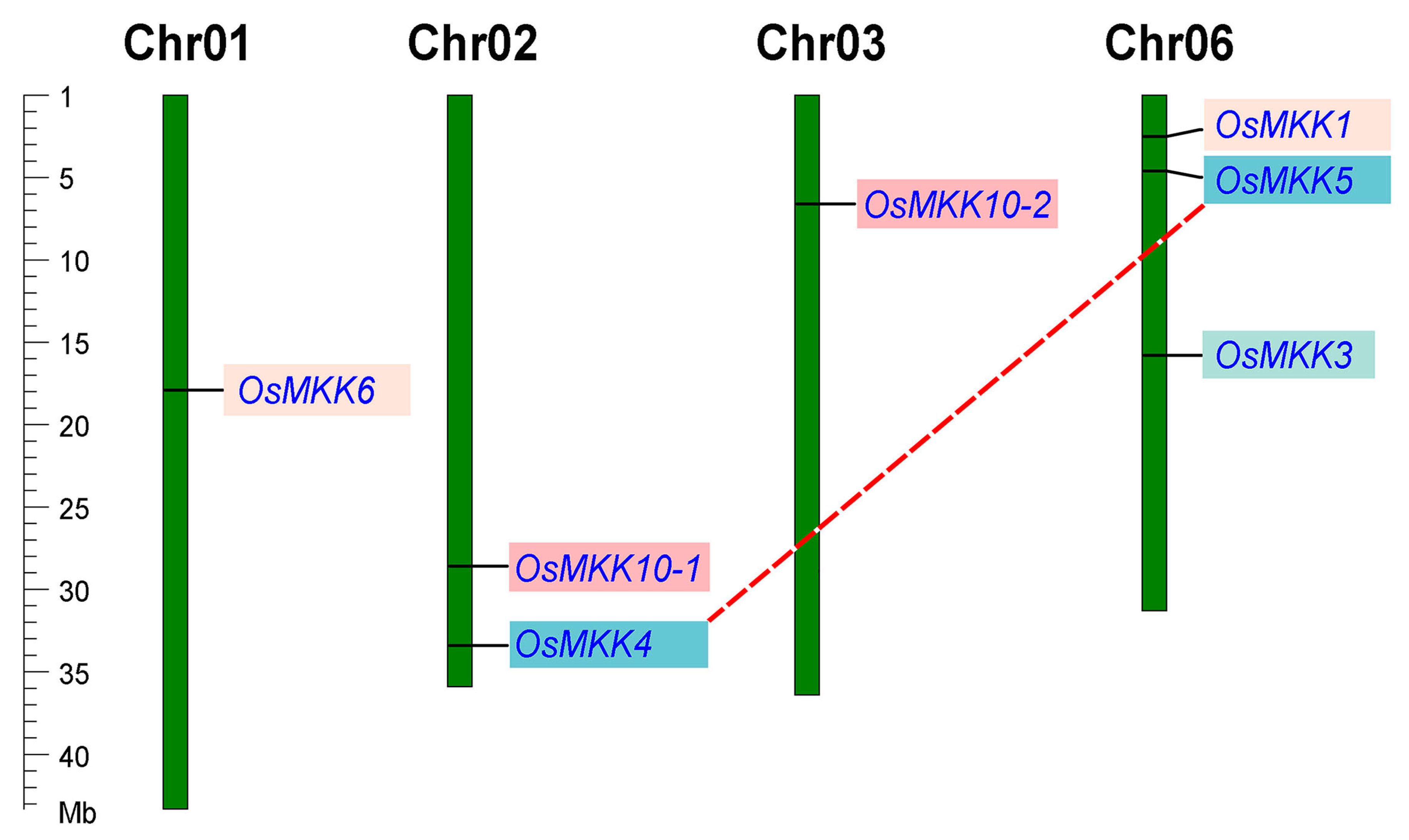 Plants 13 02922 g001
