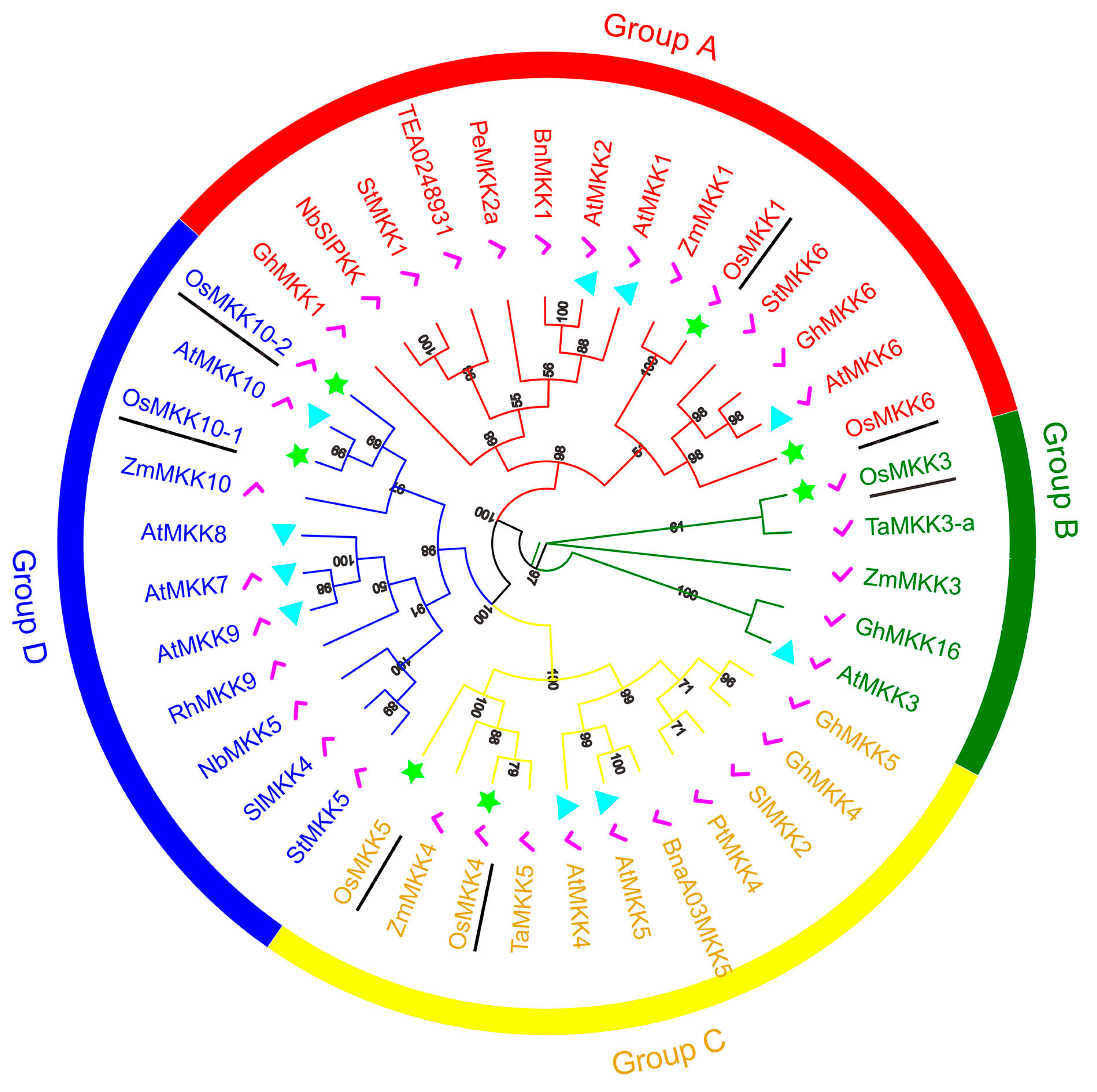 Plants 13 02922 g002