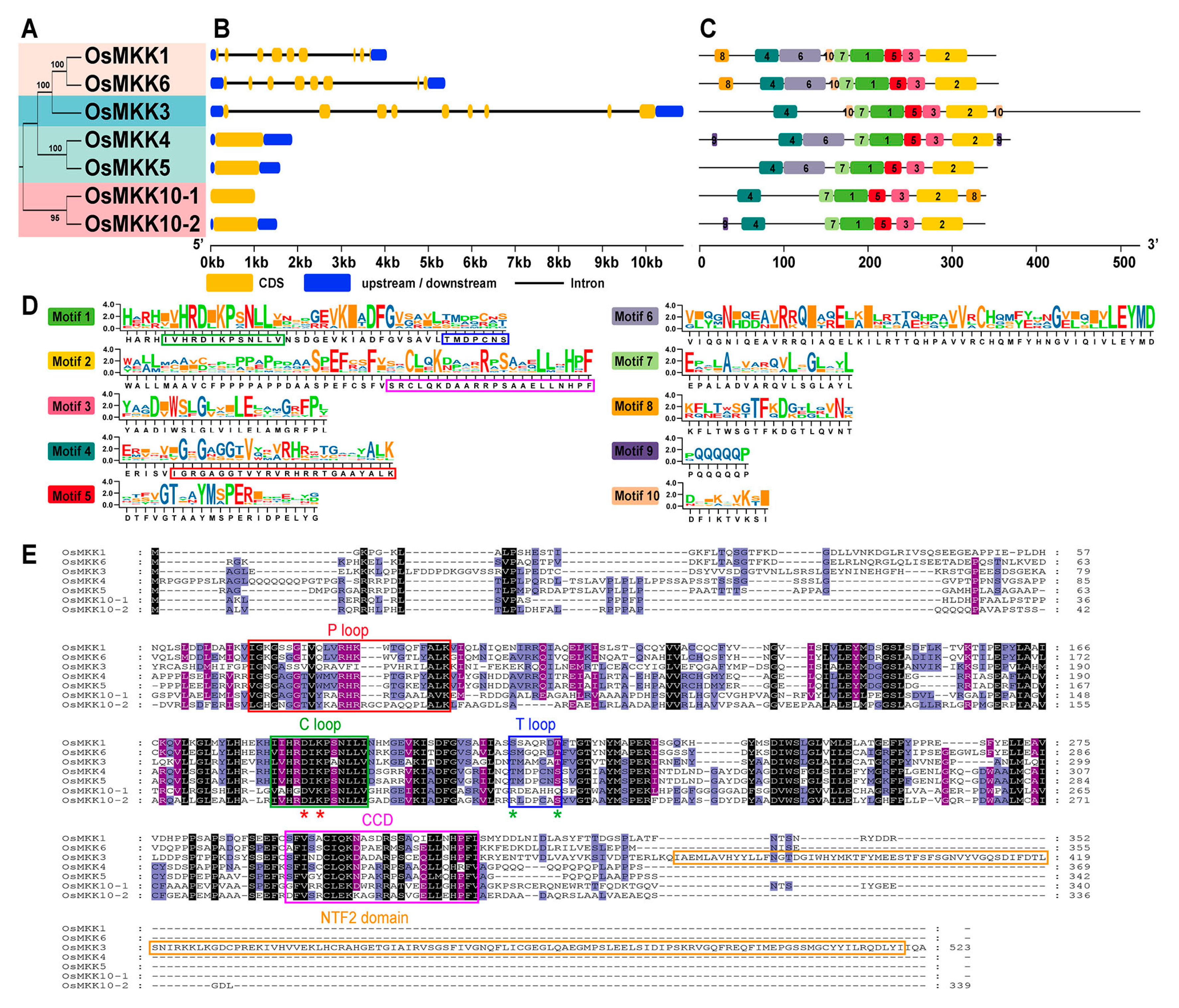 Plants 13 02922 g003