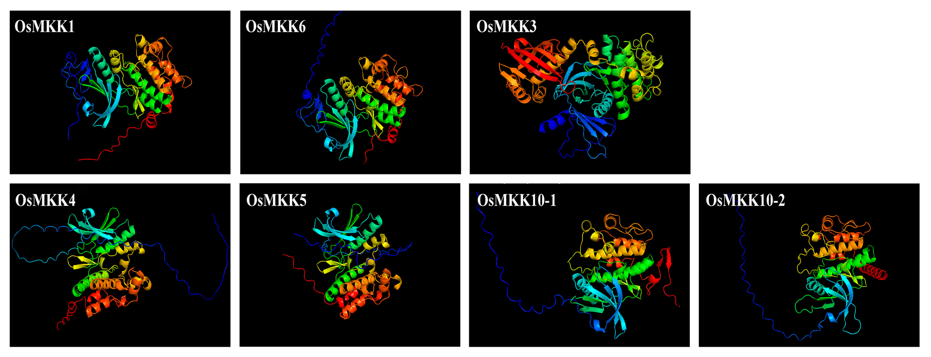 Plants 13 02922 g004
