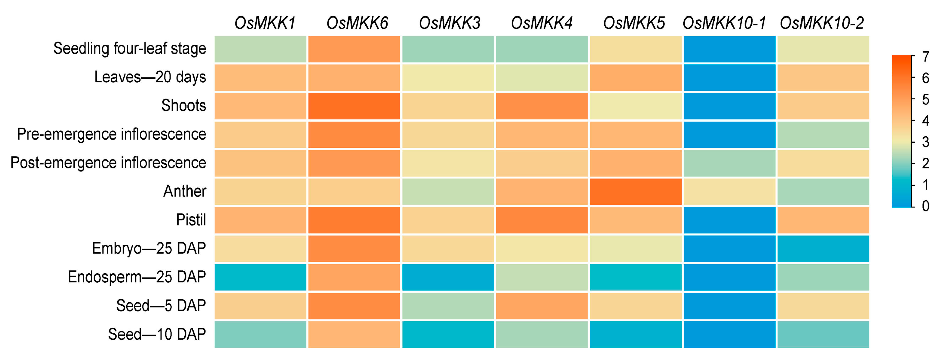 Plants 13 02922 g005