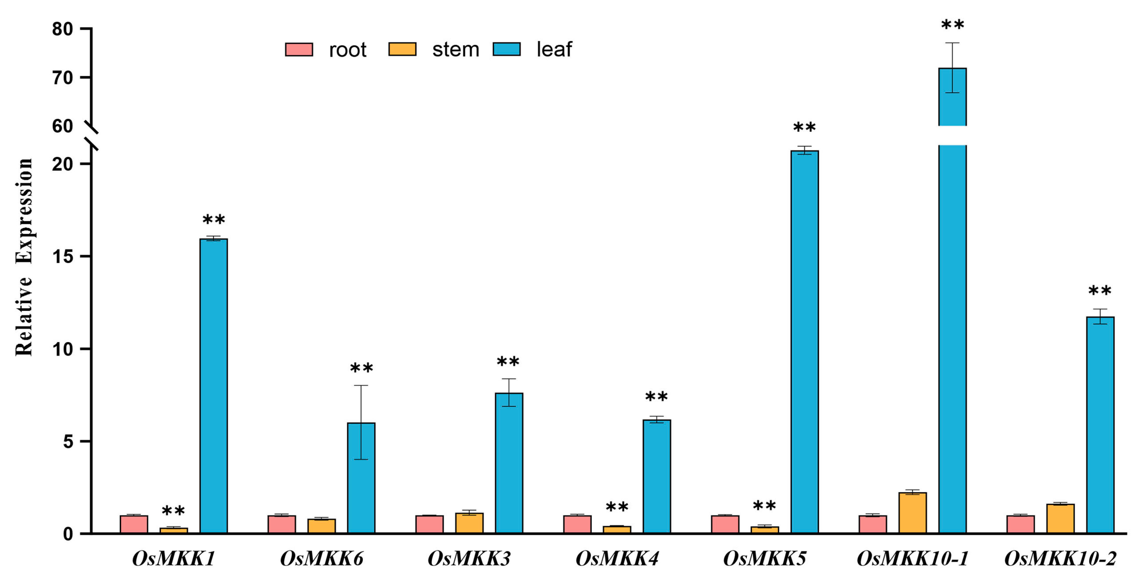 Plants 13 02922 g006