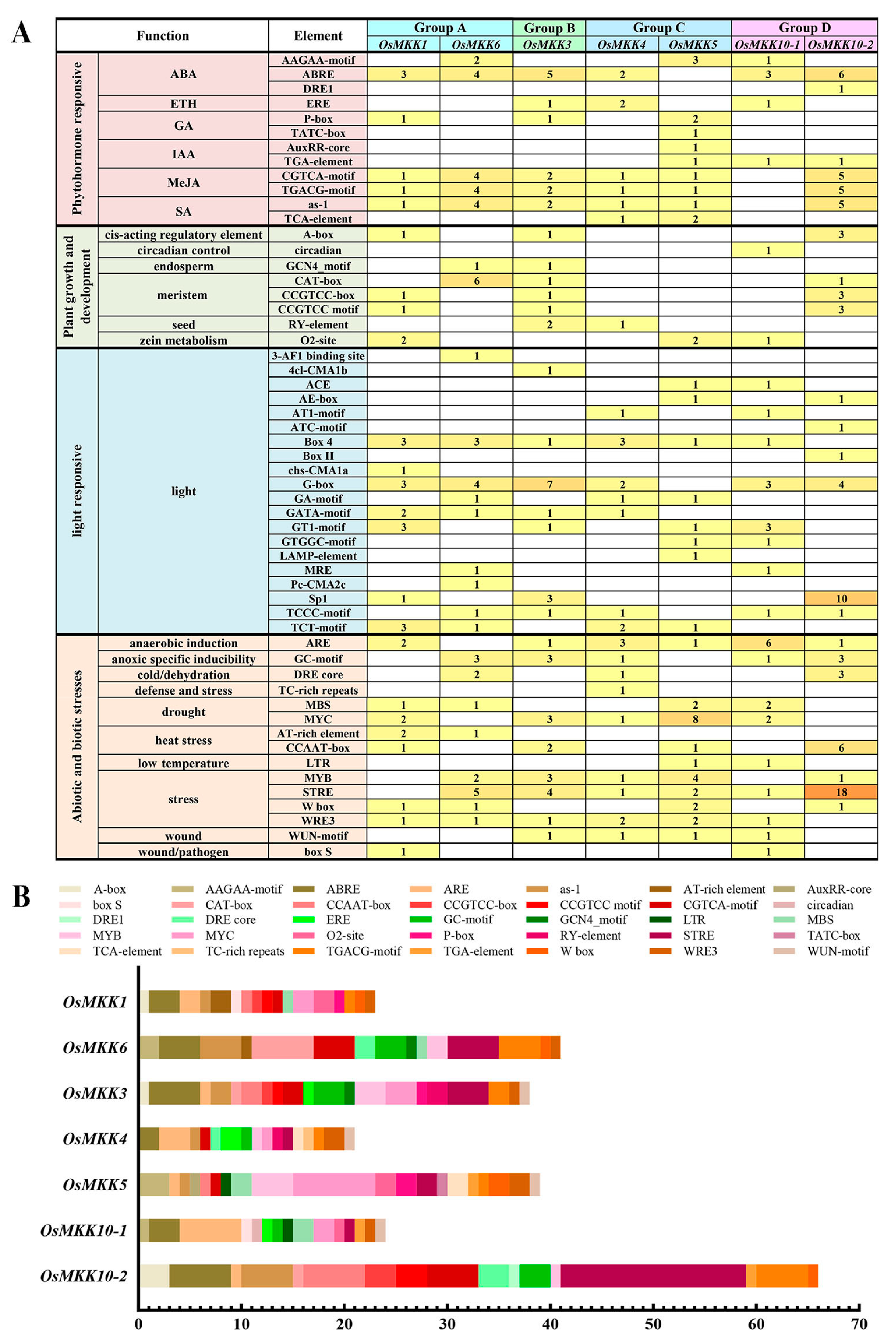 Plants 13 02922 g007
