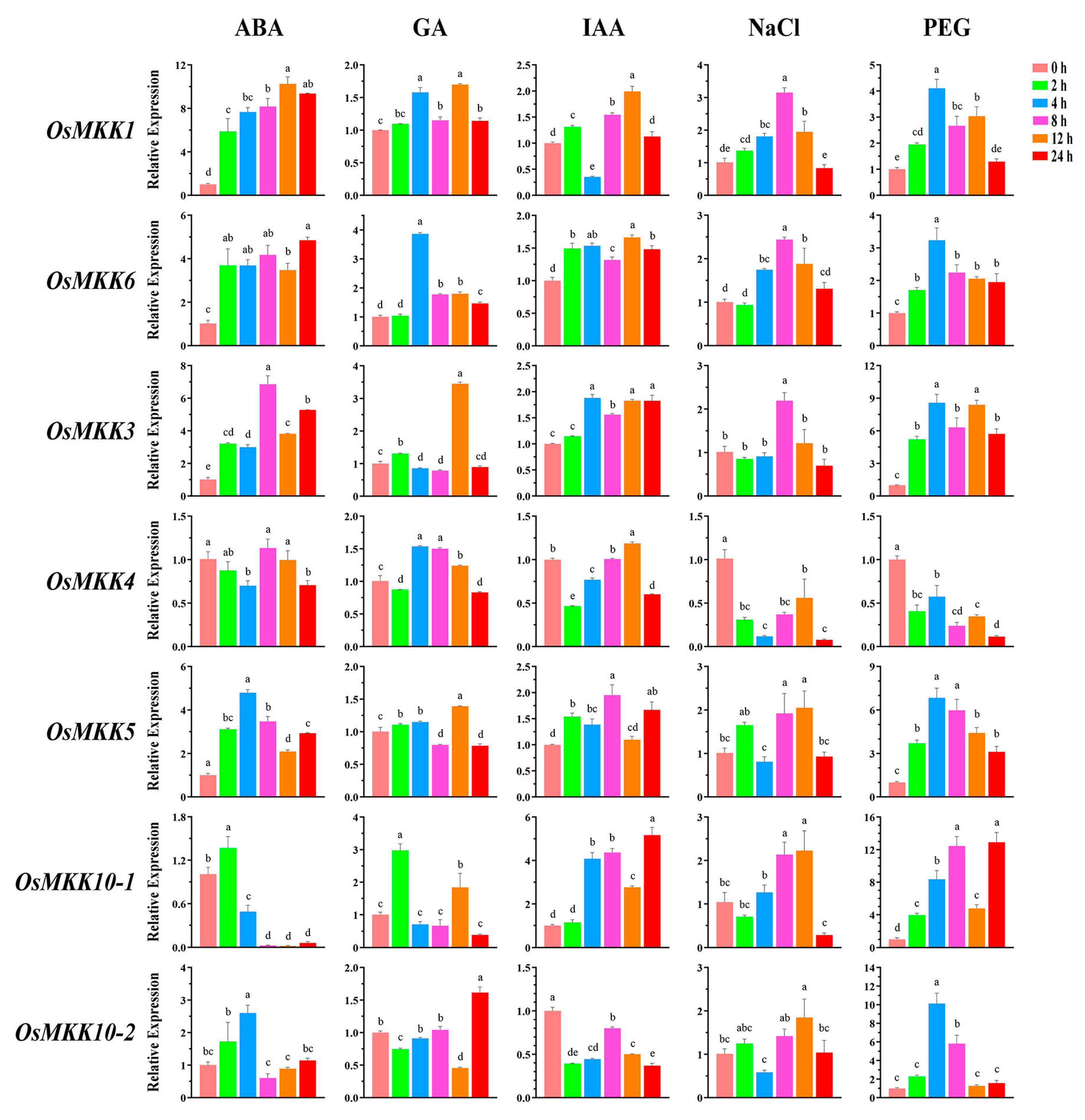 Plants 13 02922 g008