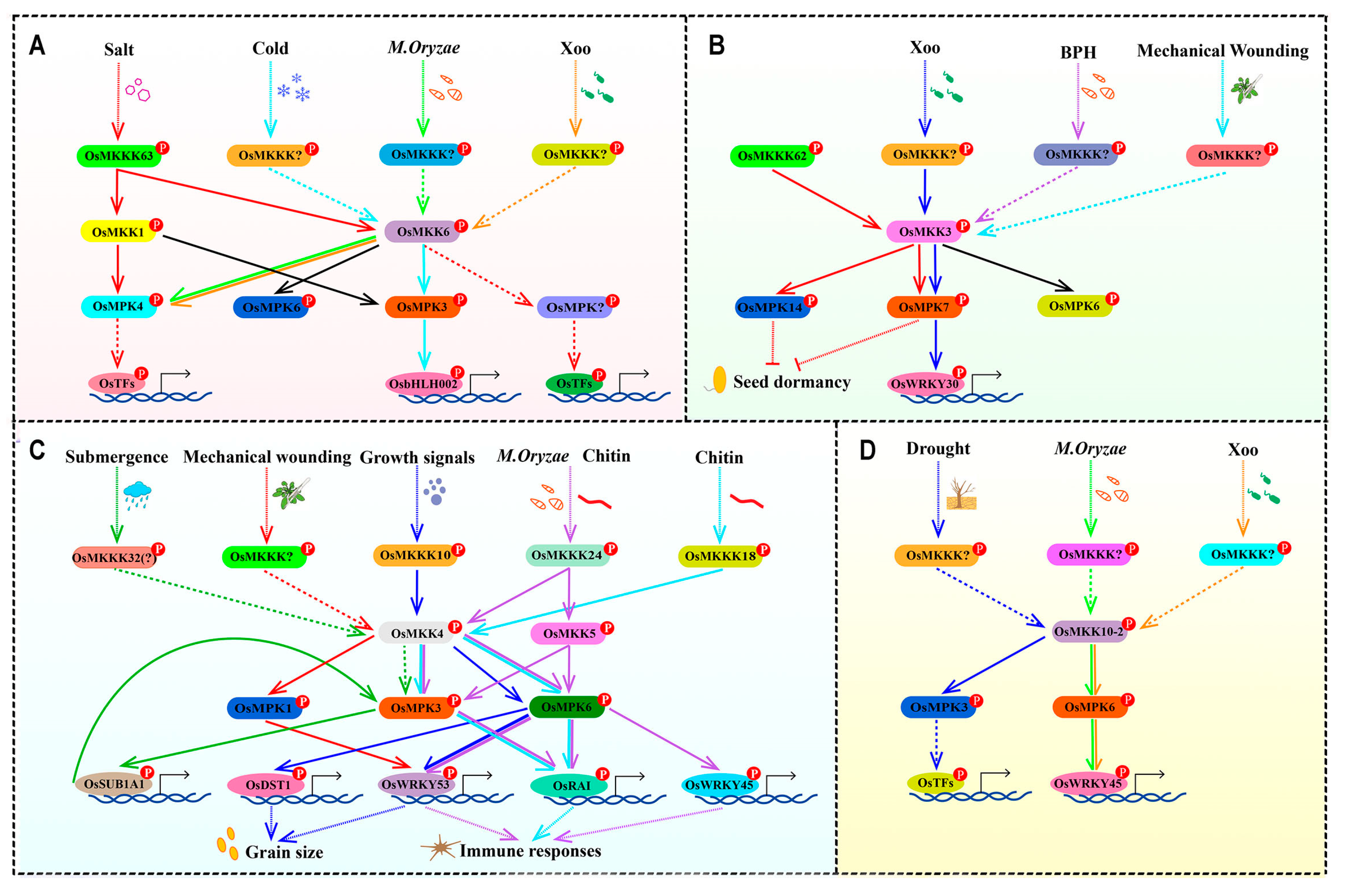 Plants 13 02922 g009