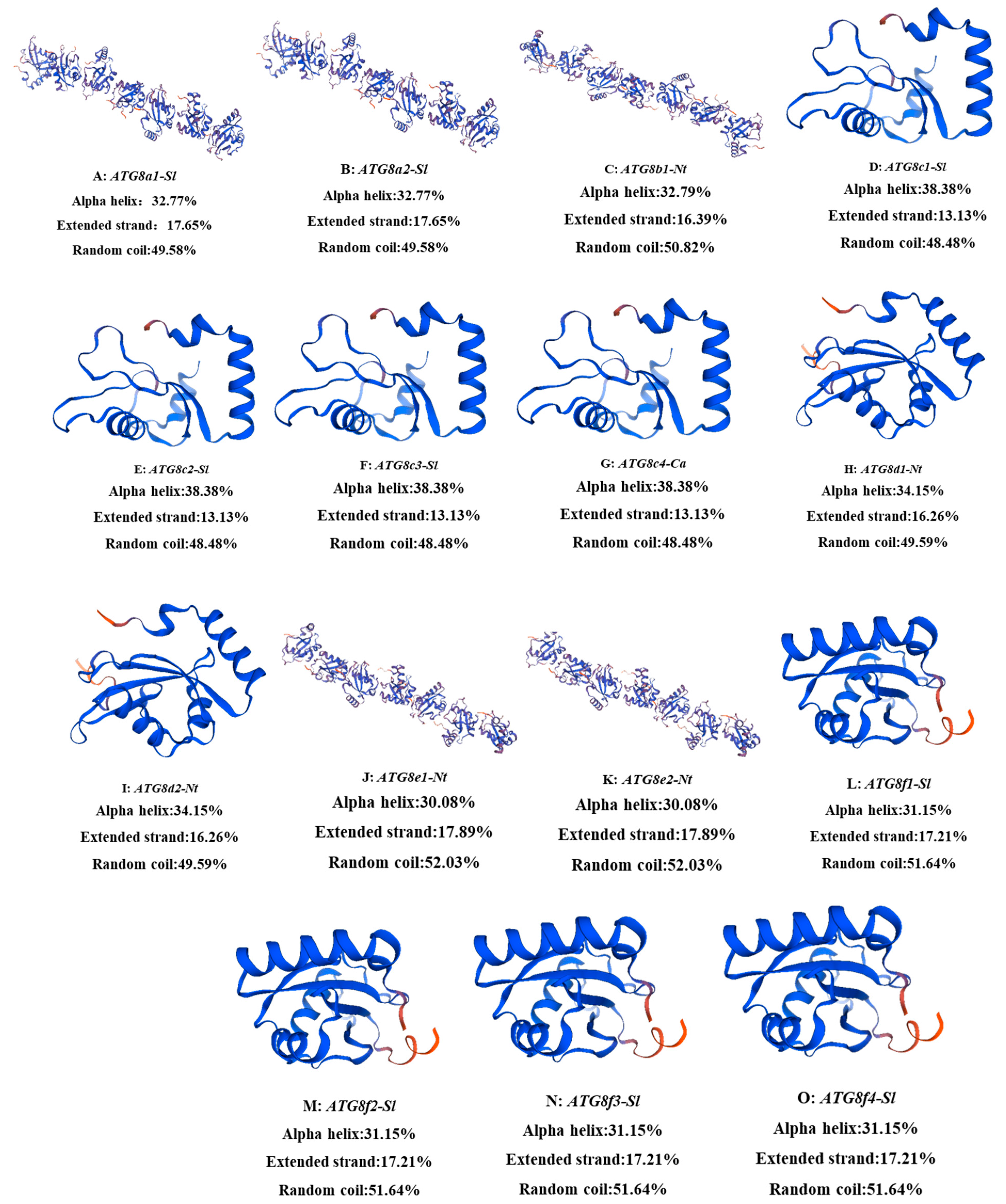 Plants 13 02924 g001