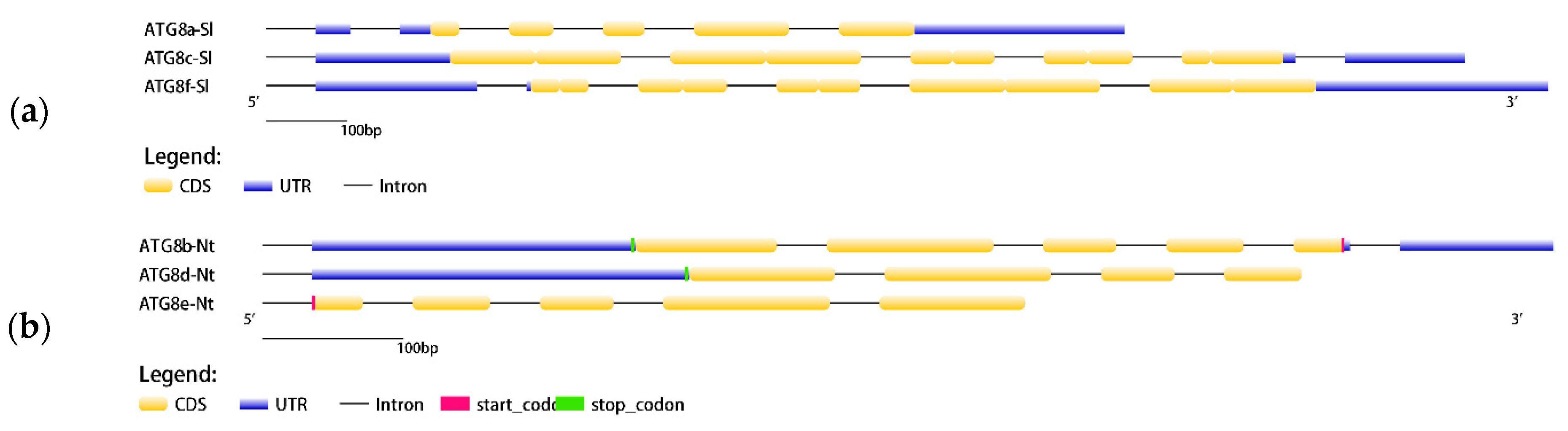 Plants 13 02924 g002
