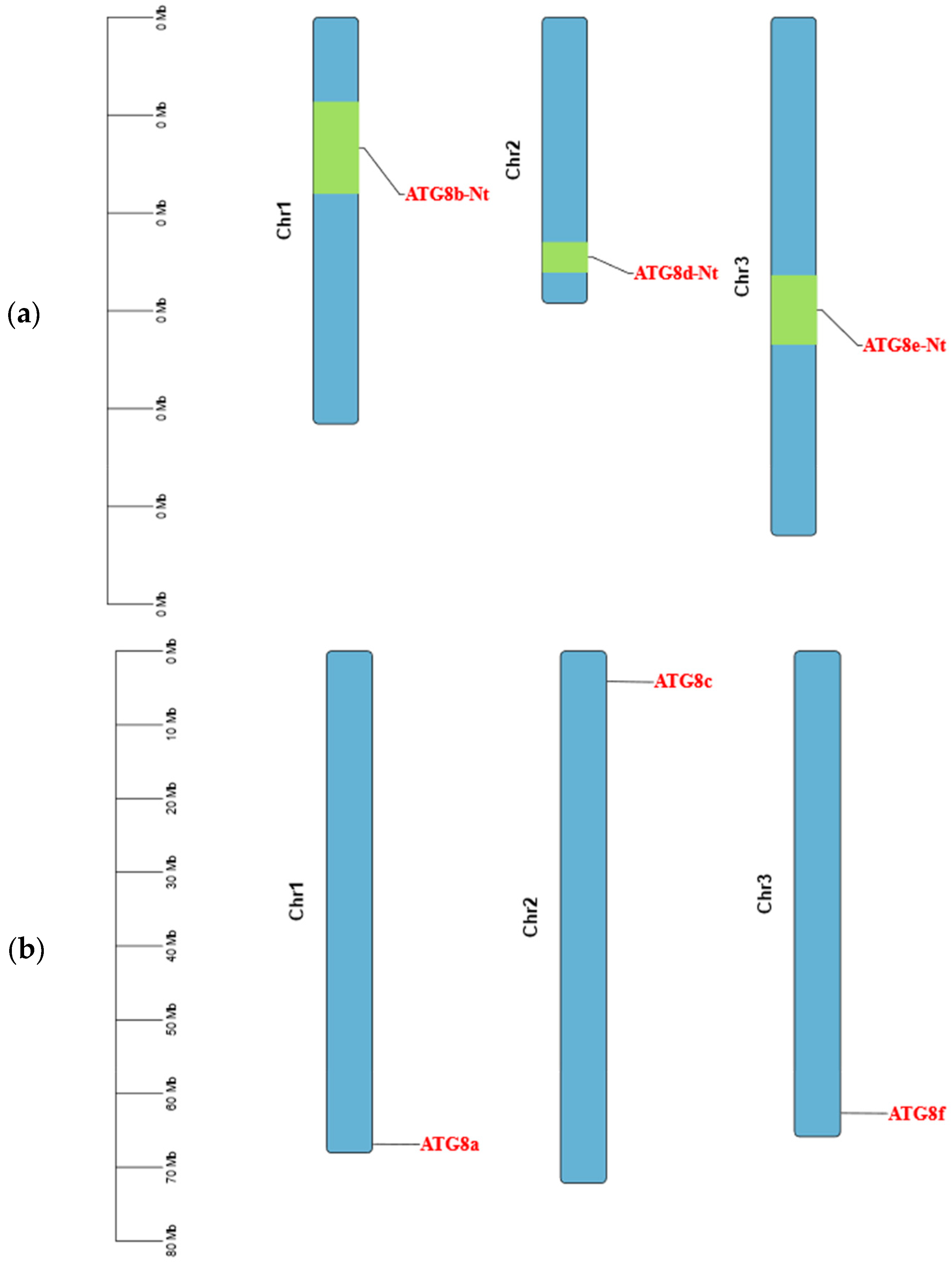 Plants 13 02924 g003