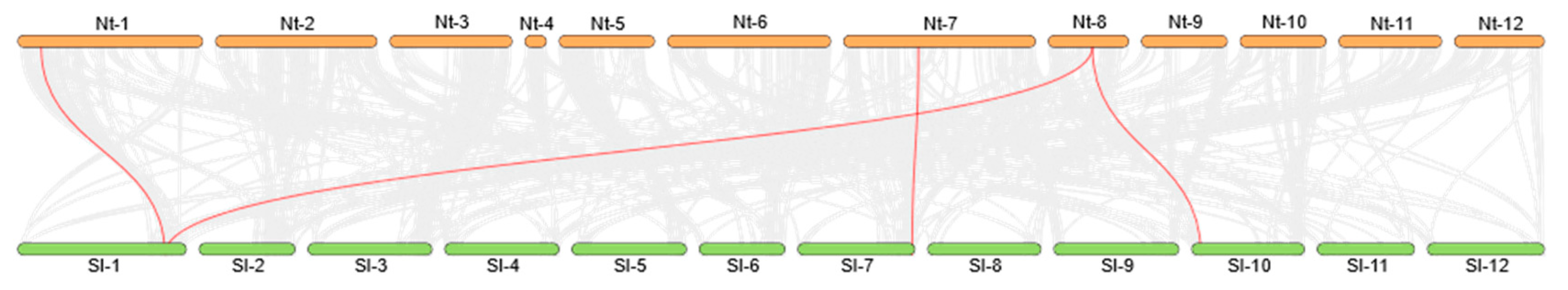 Plants 13 02924 g007