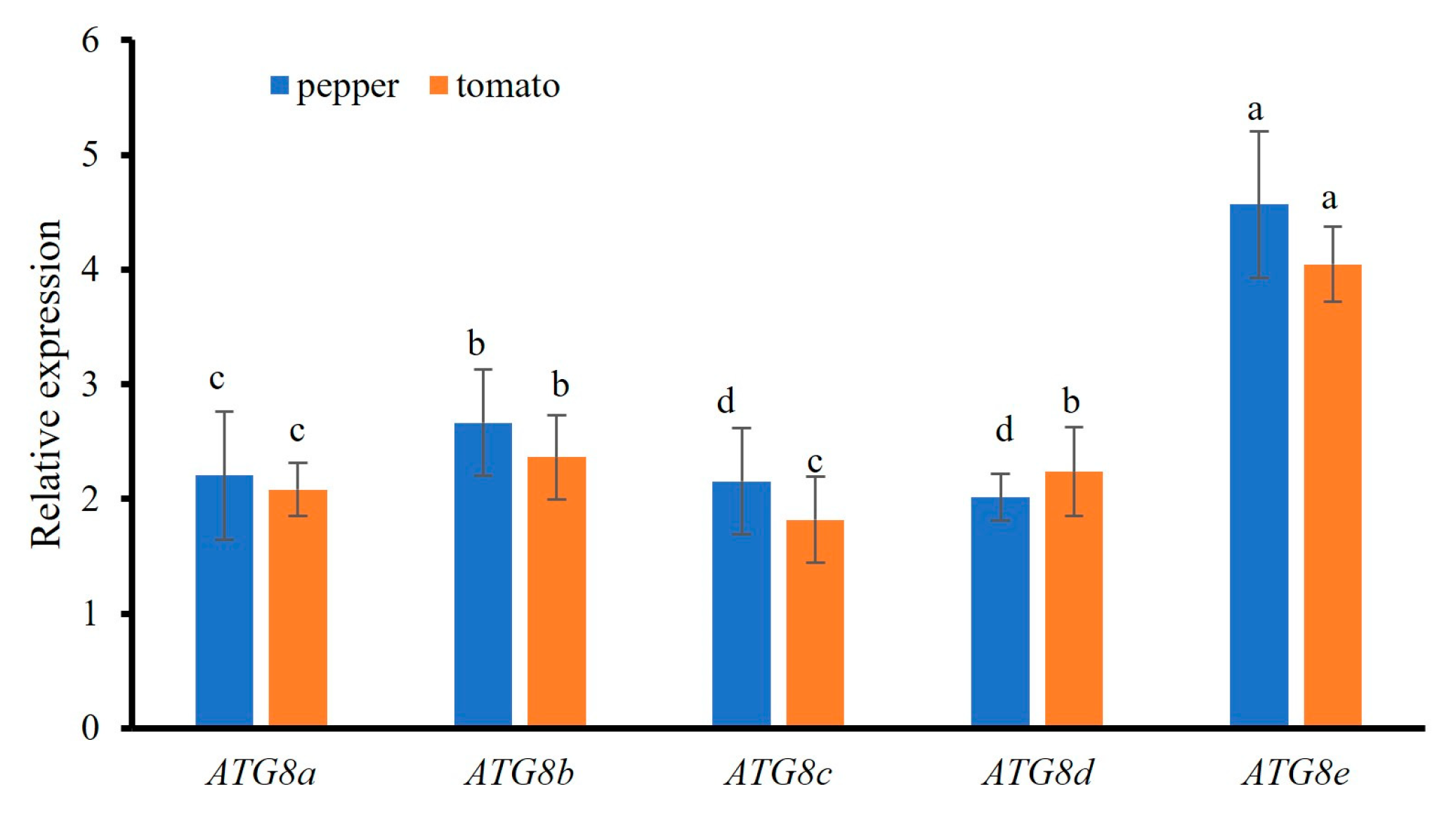 Plants 13 02924 g008