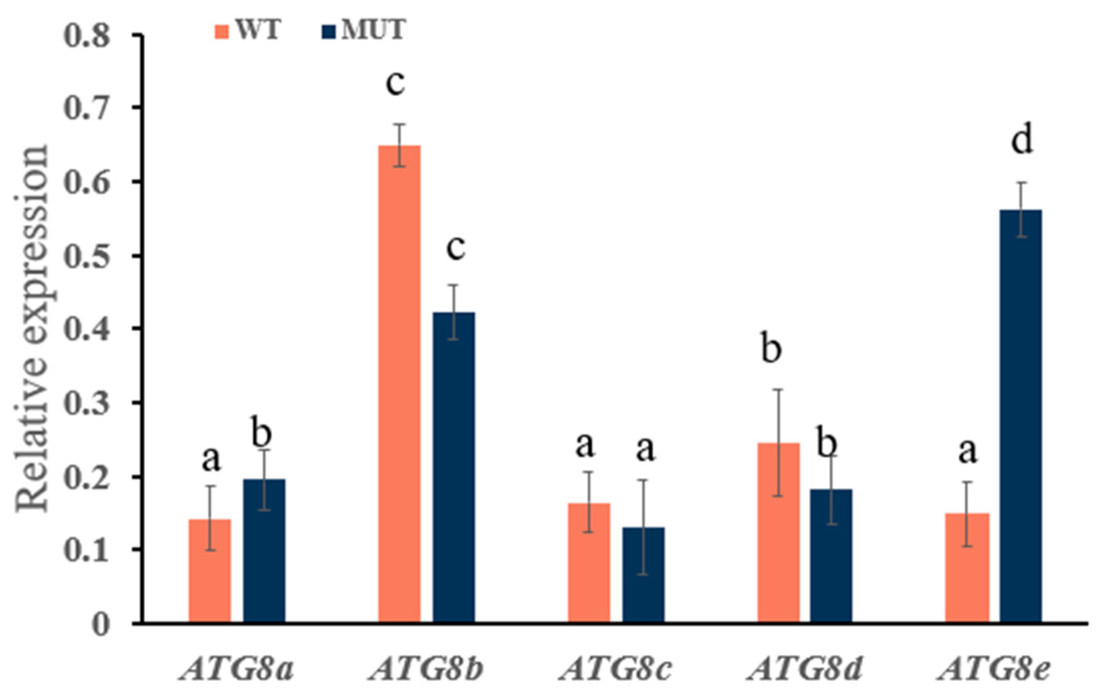 Plants 13 02924 g009