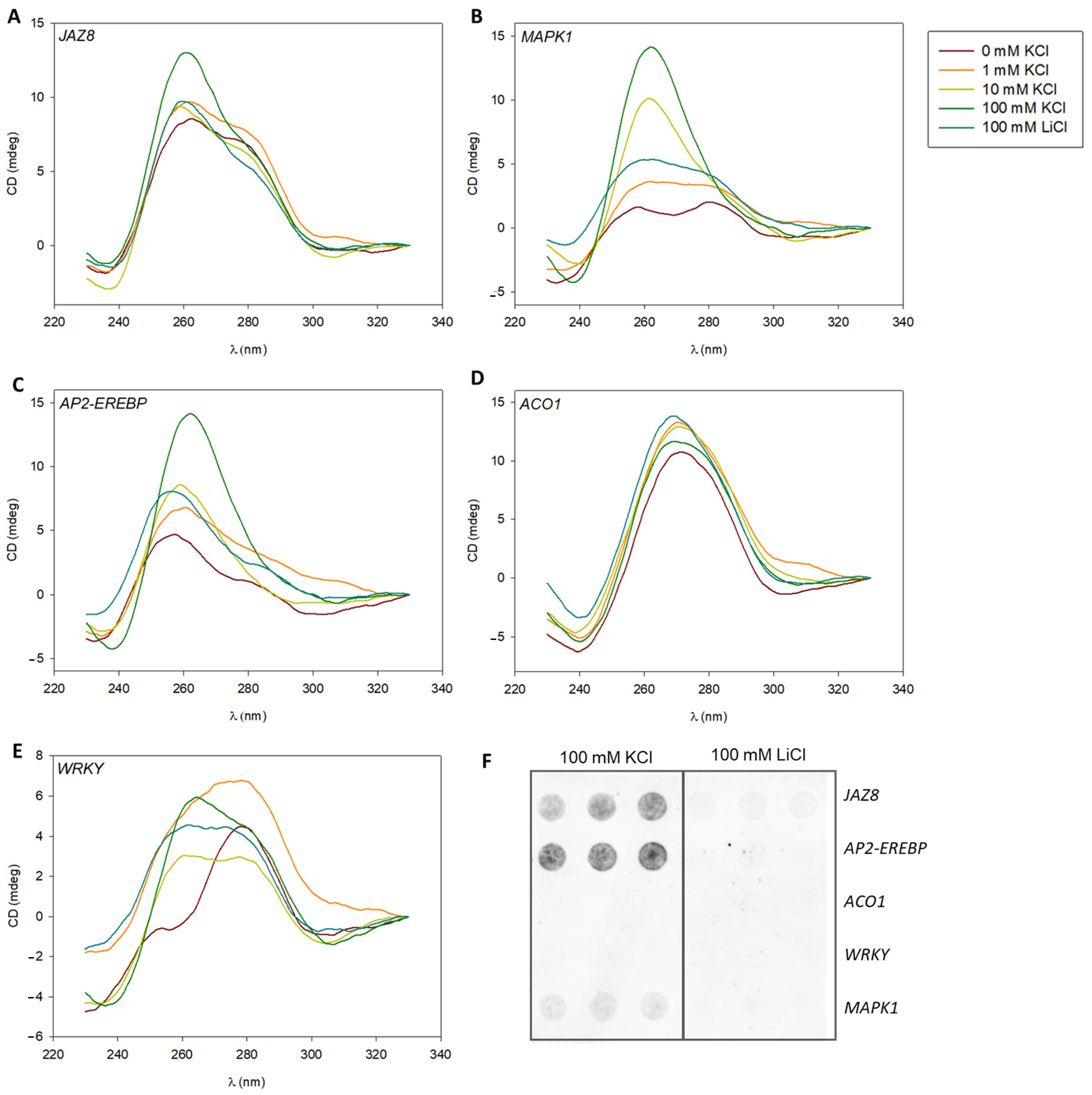 Plants 13 02925 g002