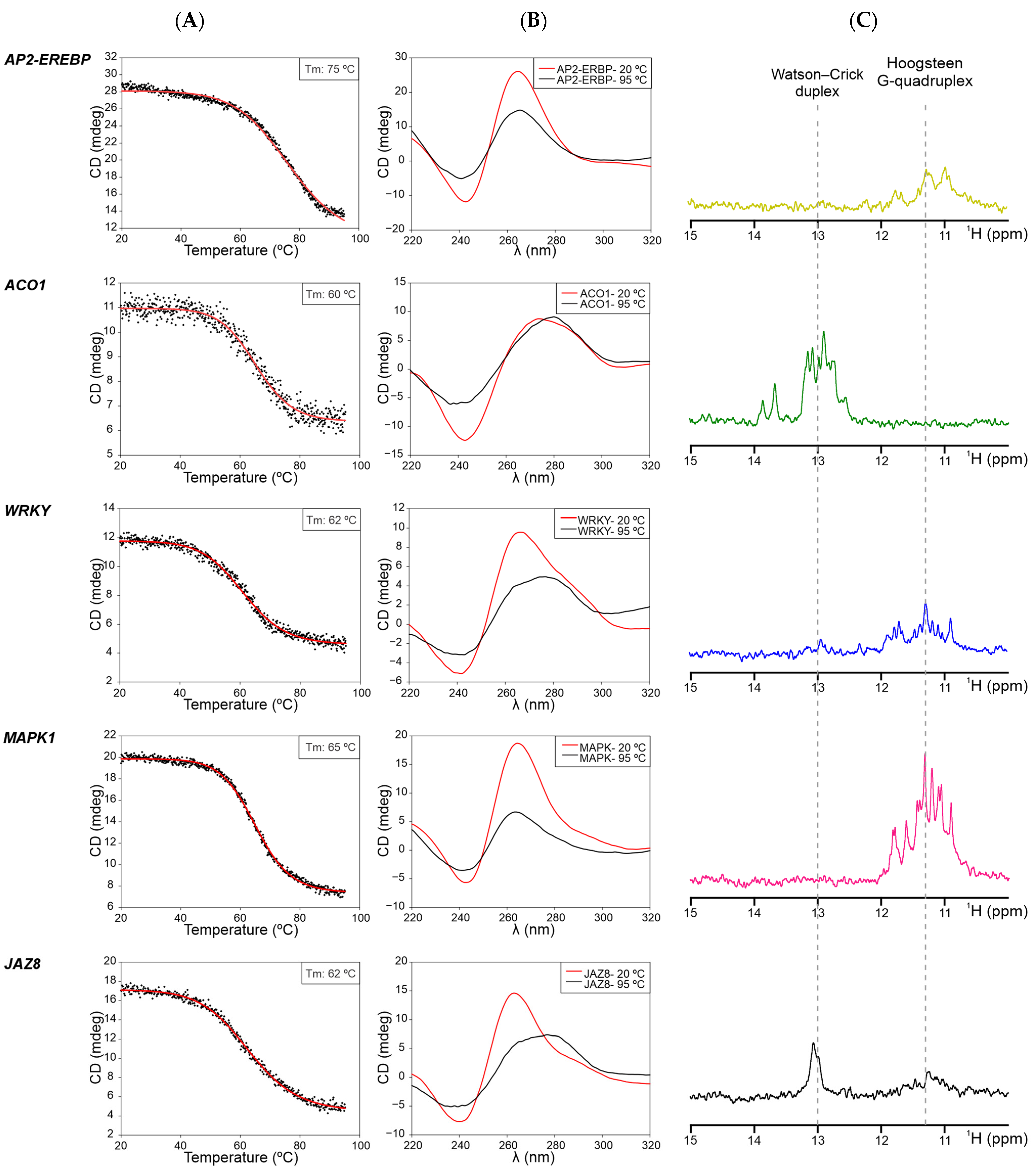 Plants 13 02925 g003