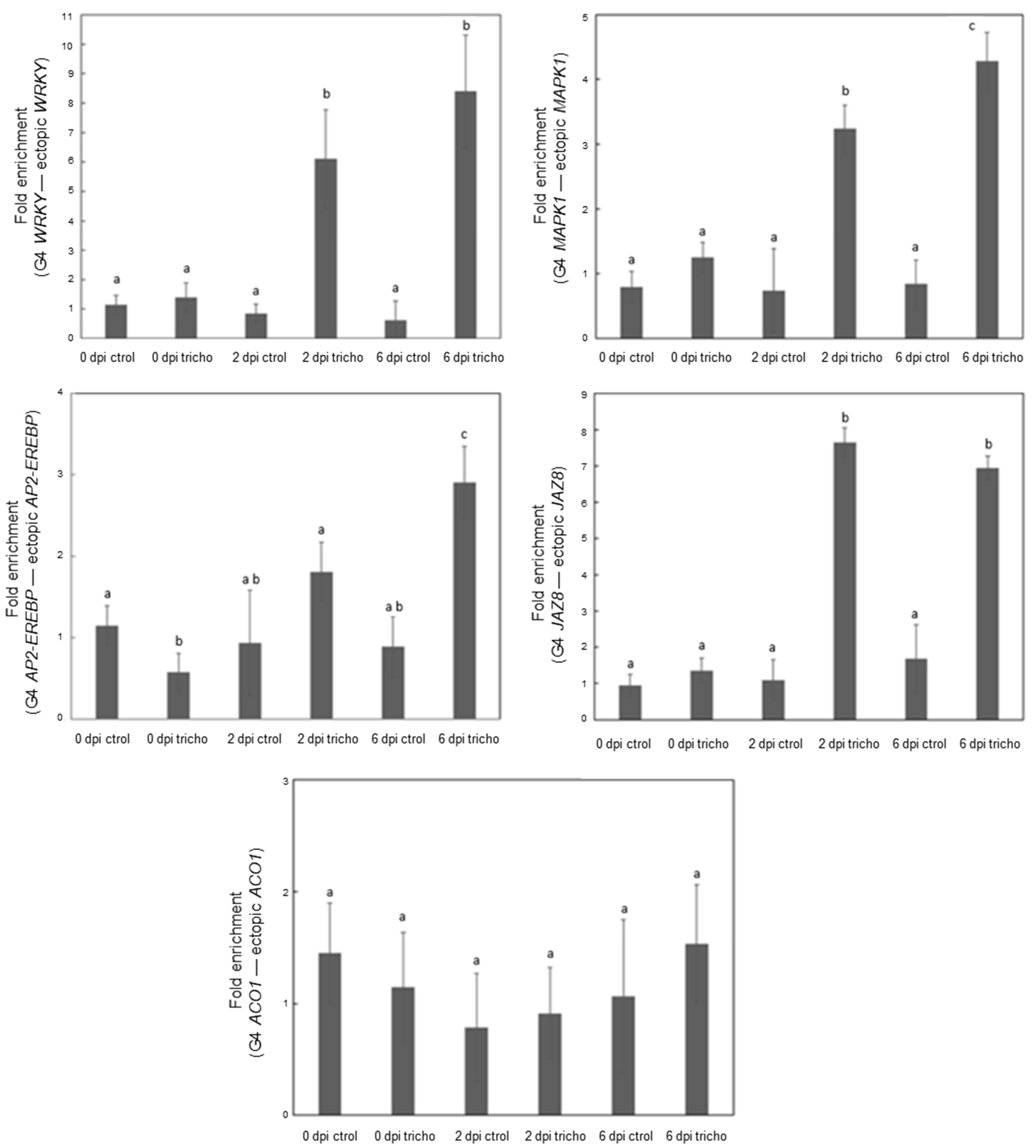 Plants 13 02925 g004