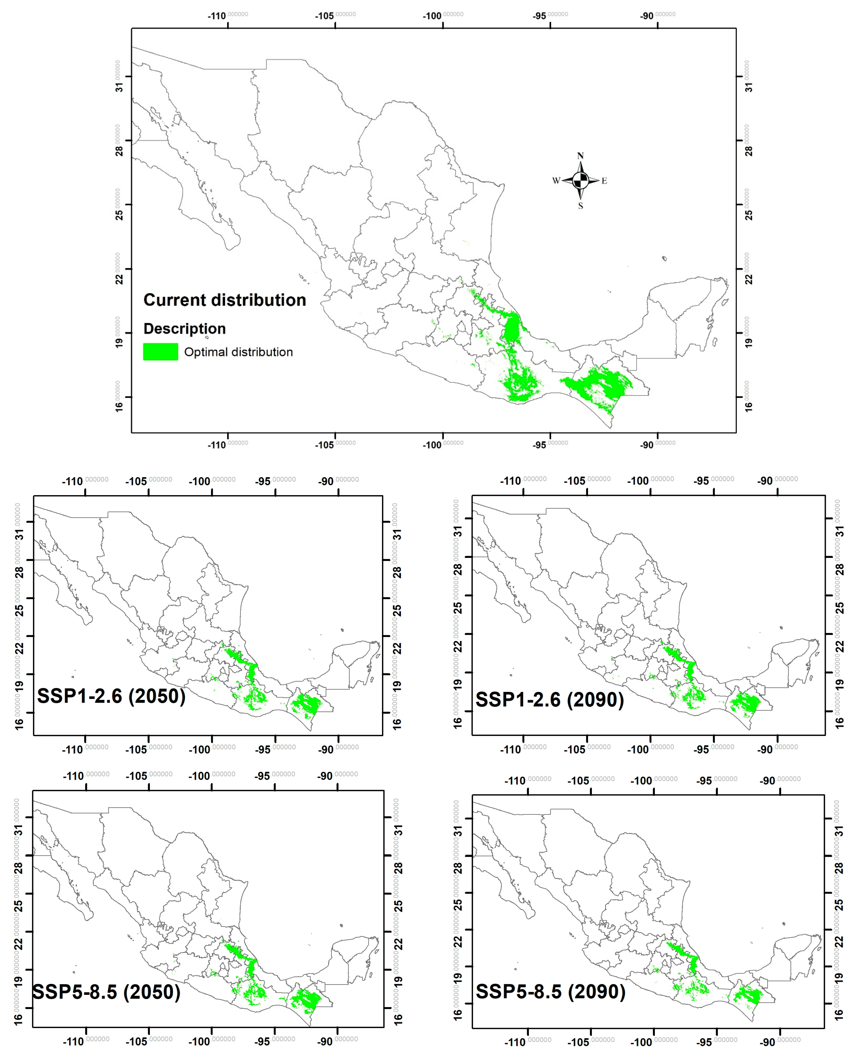 Plants 13 02926 g006