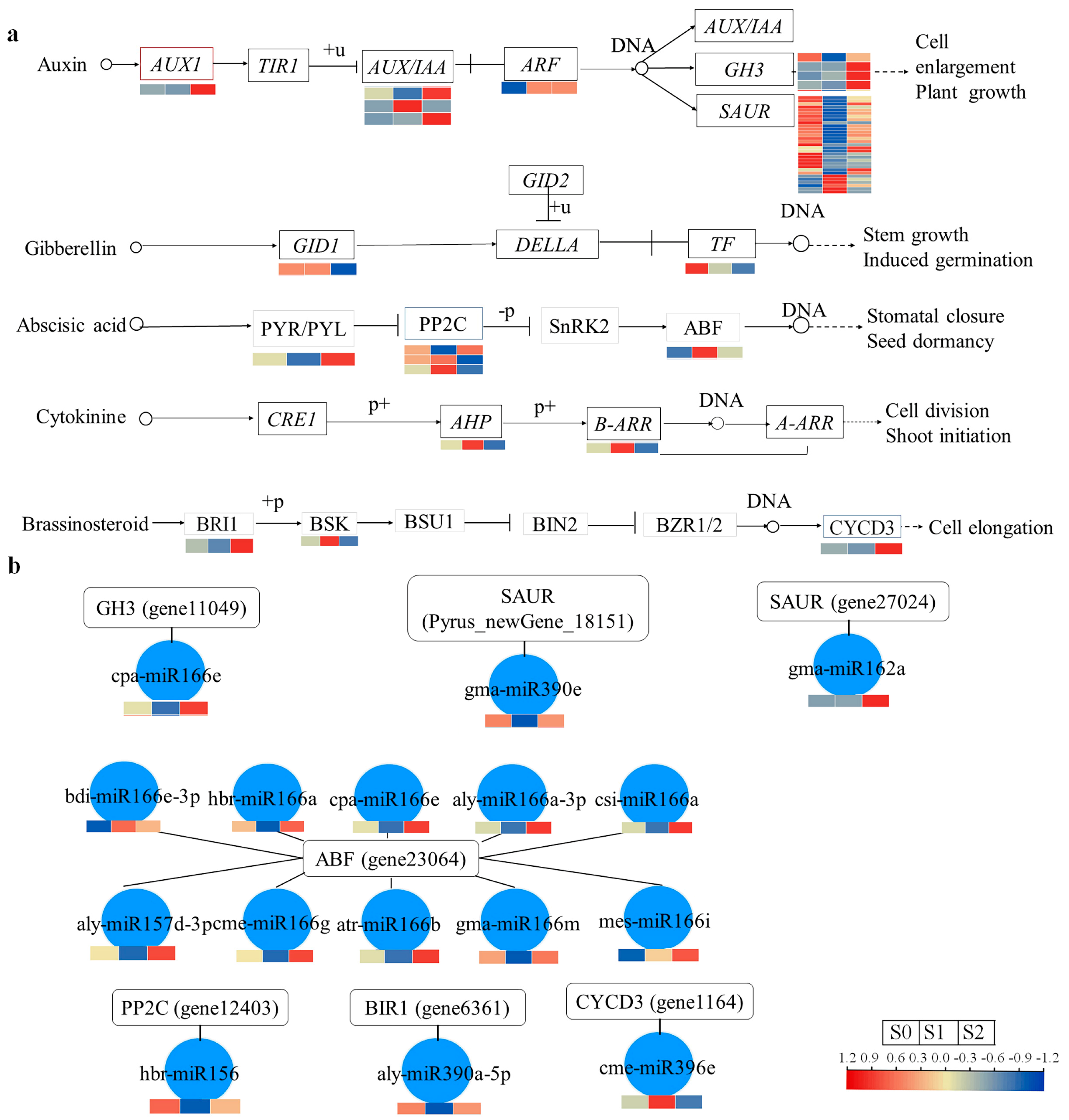 Plants 13 02928 g005