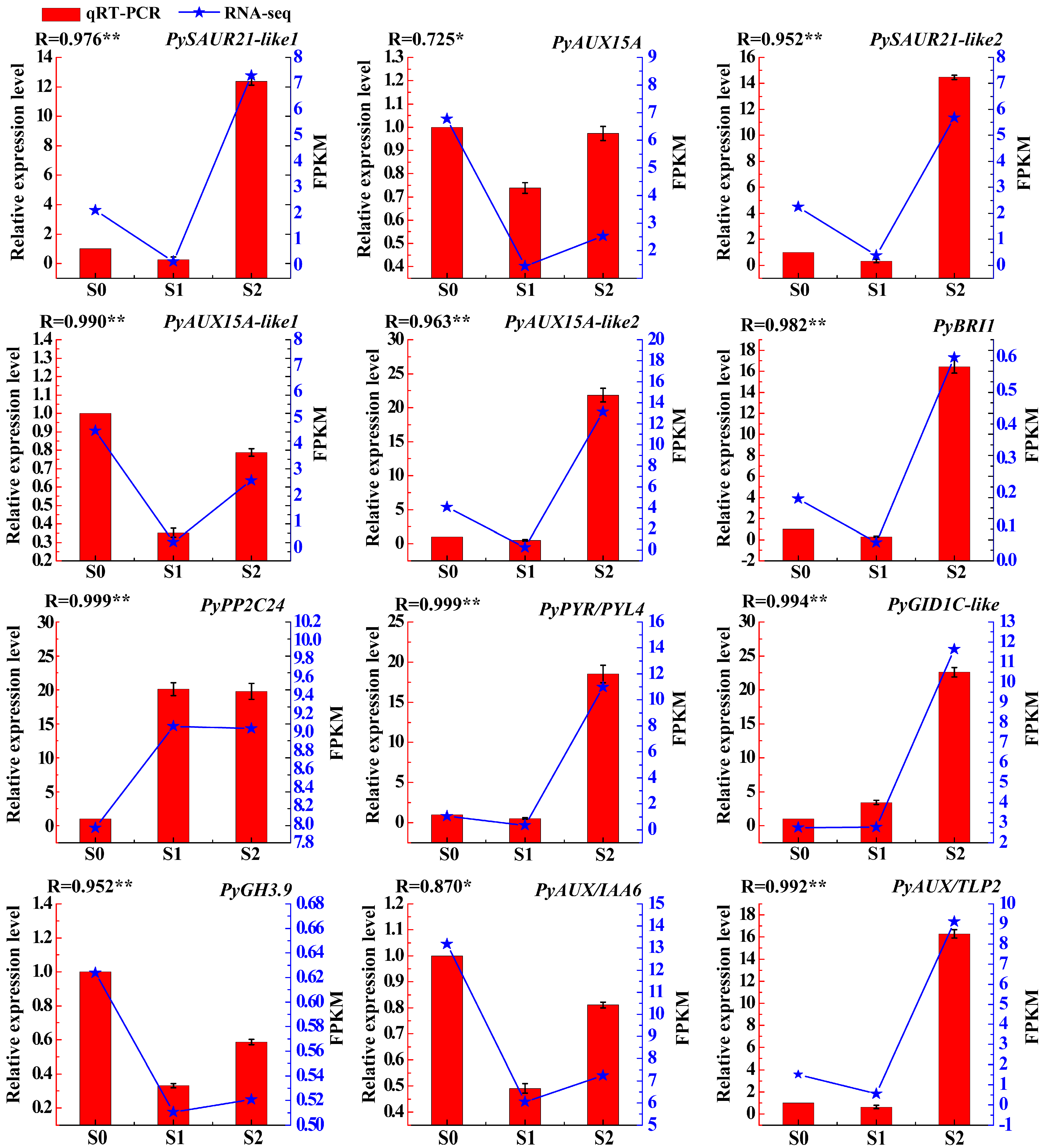 Plants 13 02928 g006