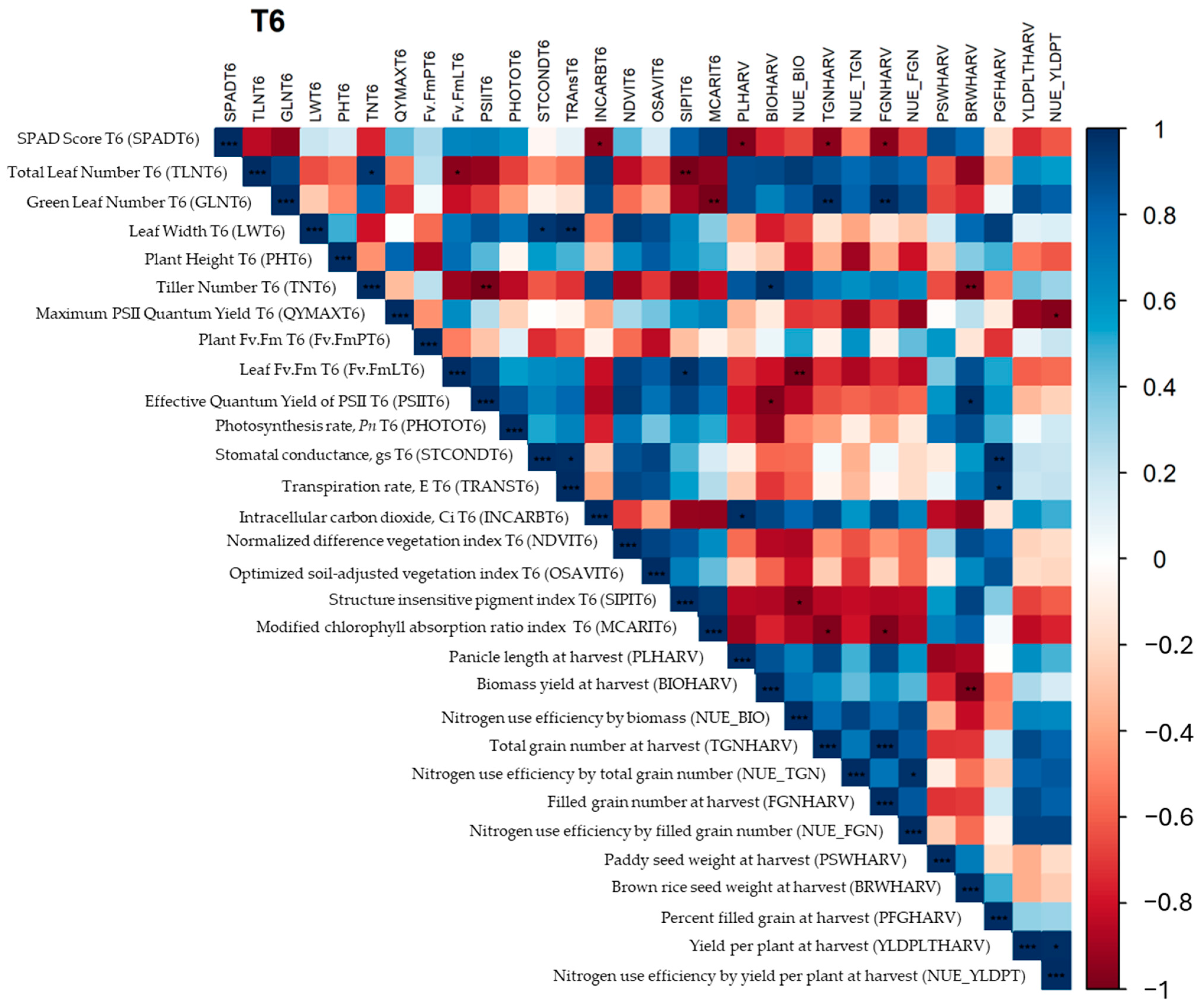 Plants 13 02932 g008