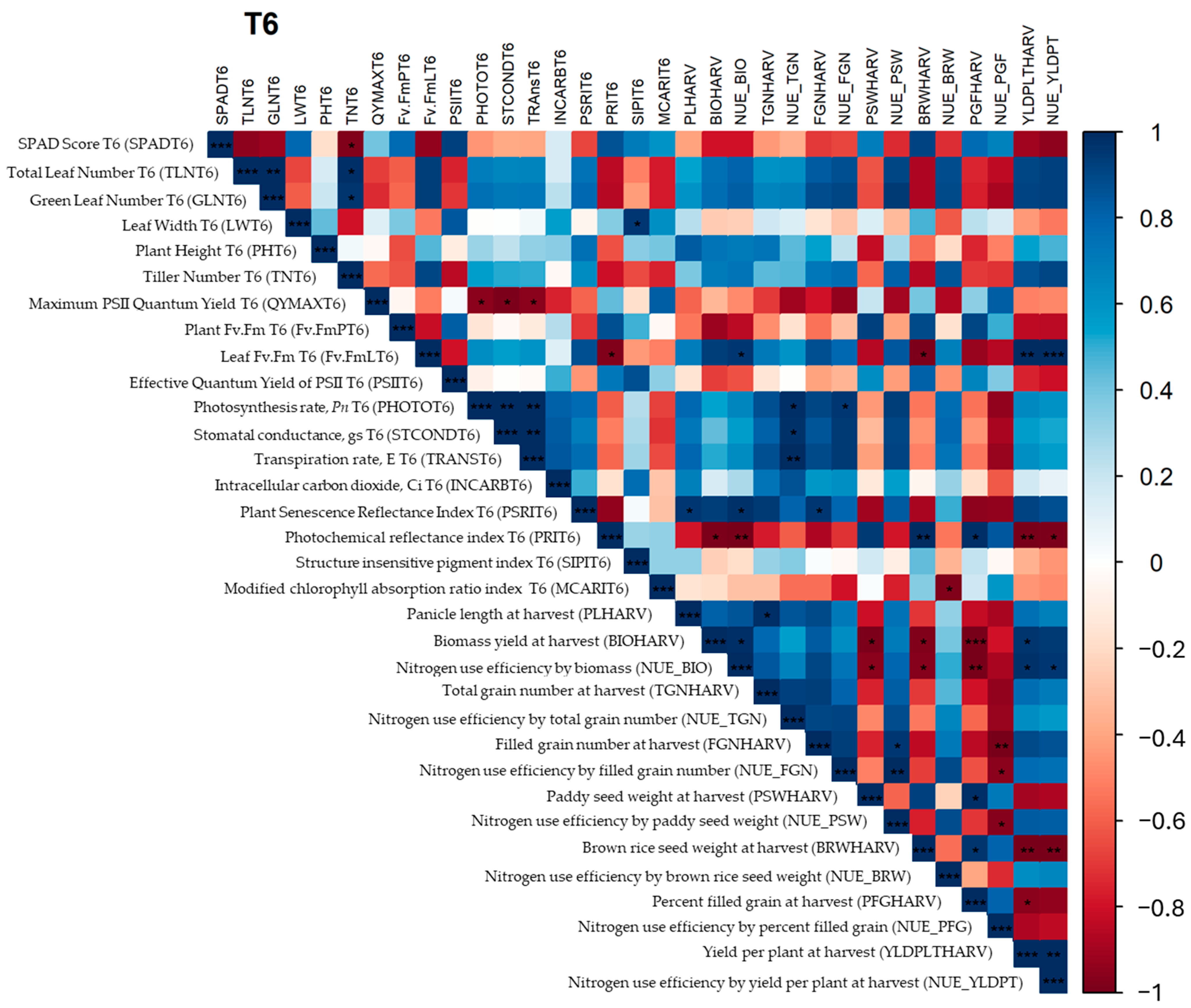 Plants 13 02932 g009