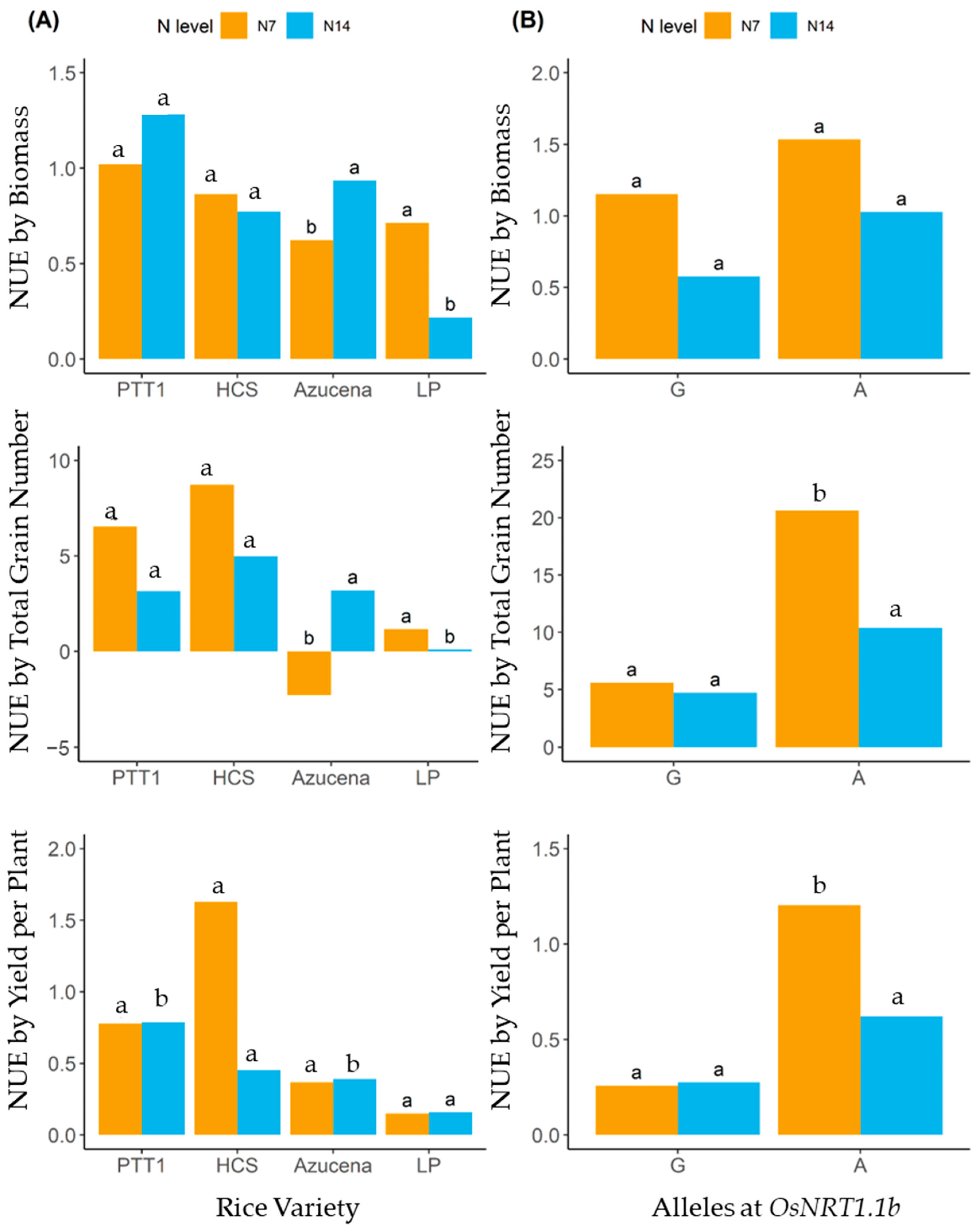 Plants 13 02932 g011