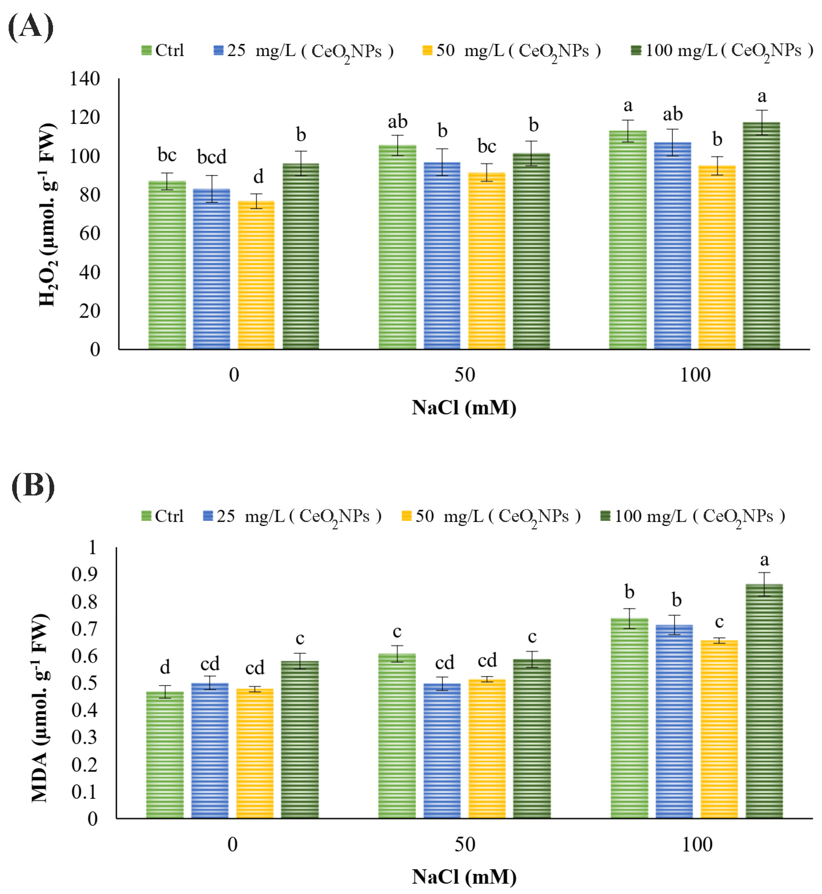 Plants 13 02934 g001