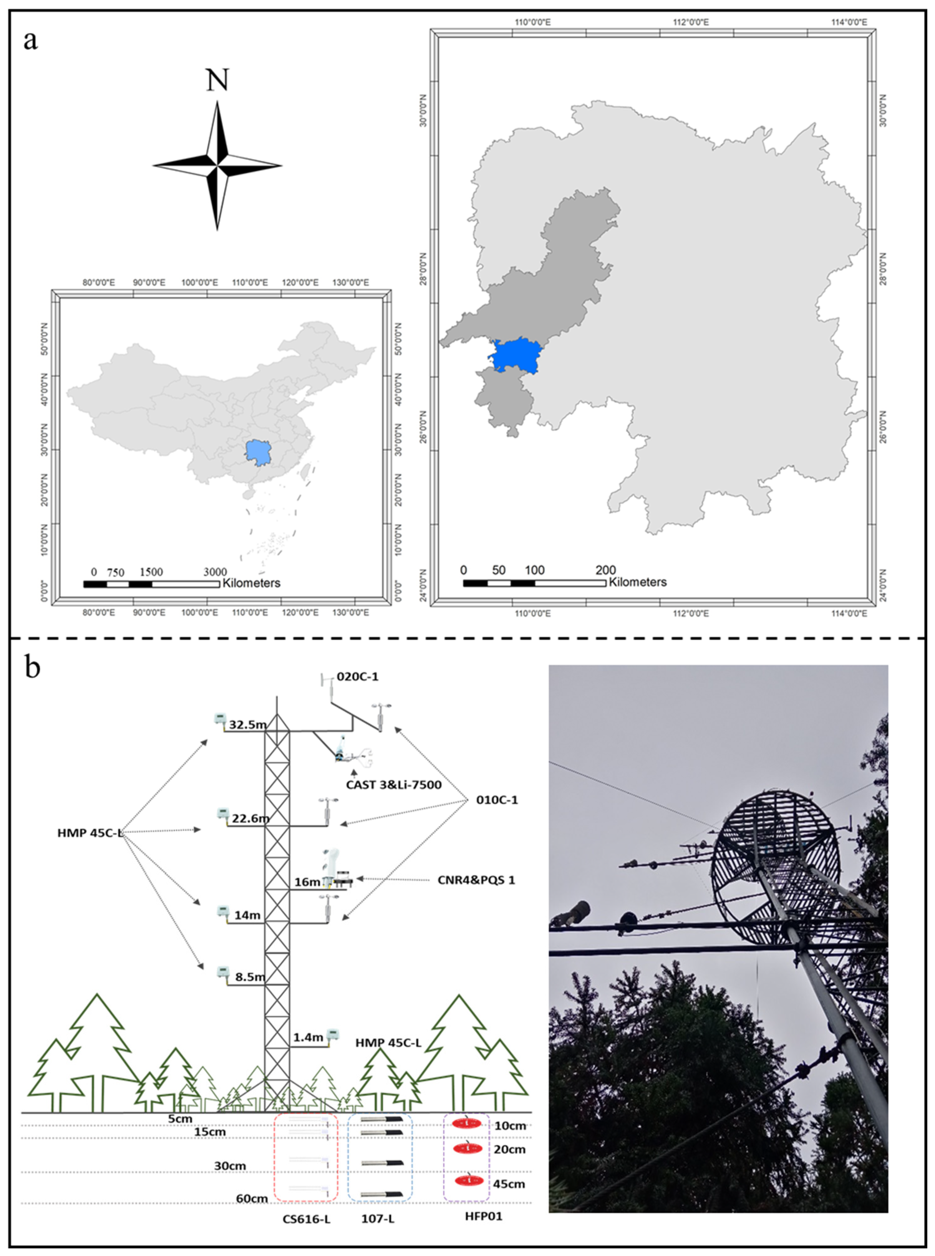 Plants 13 02937 g007