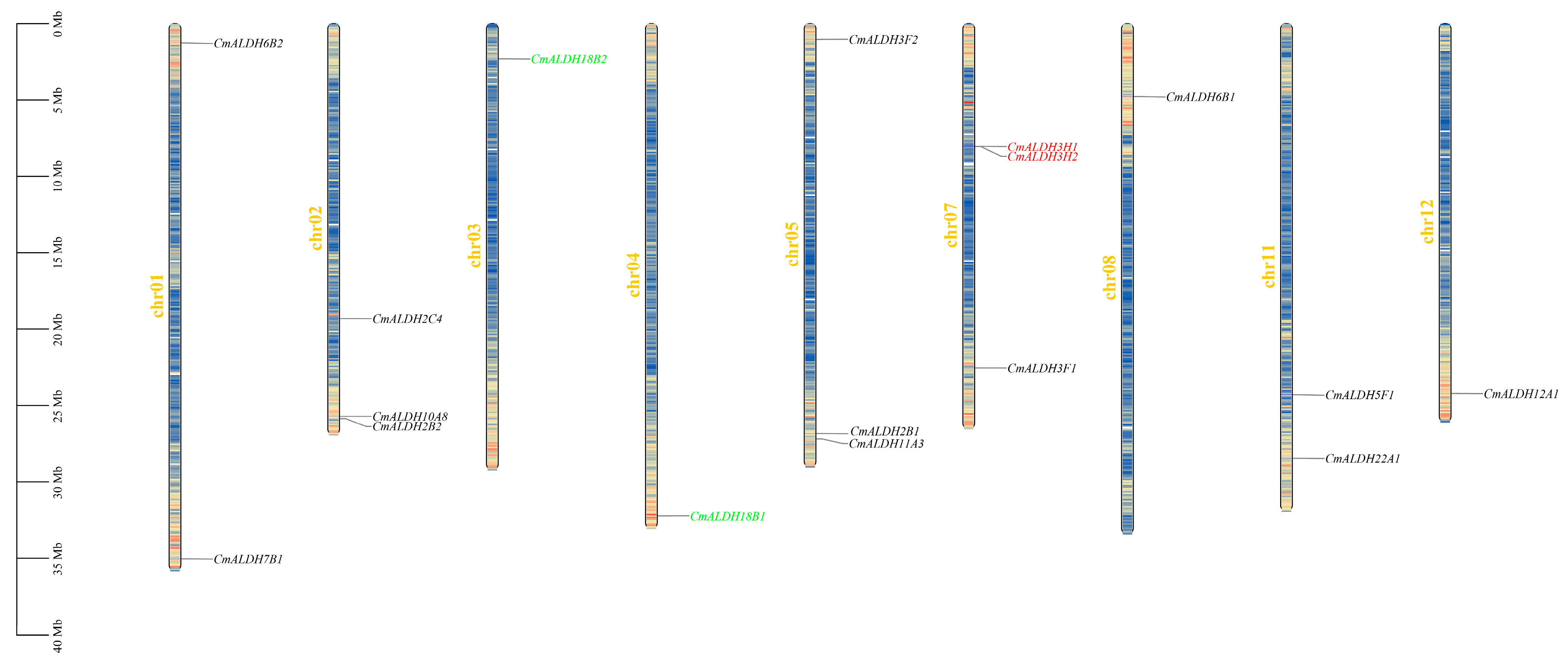 Plants 13 02939 g001